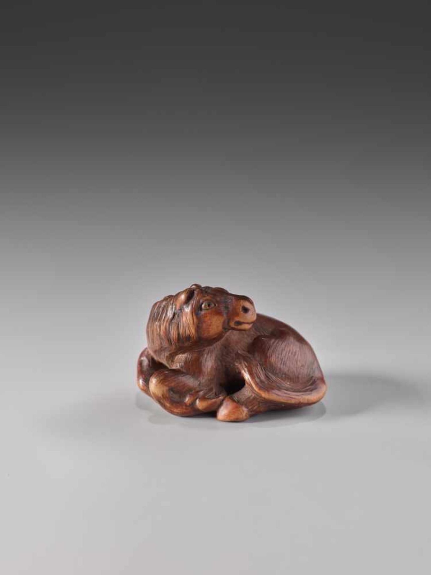 A RARE WOOD NETSUKE OF A RECUMBENT HORSE BY KOKEIWood netsukeJapan, Tsu, Kuwana, Ise Provincefirst - Image 5 of 12