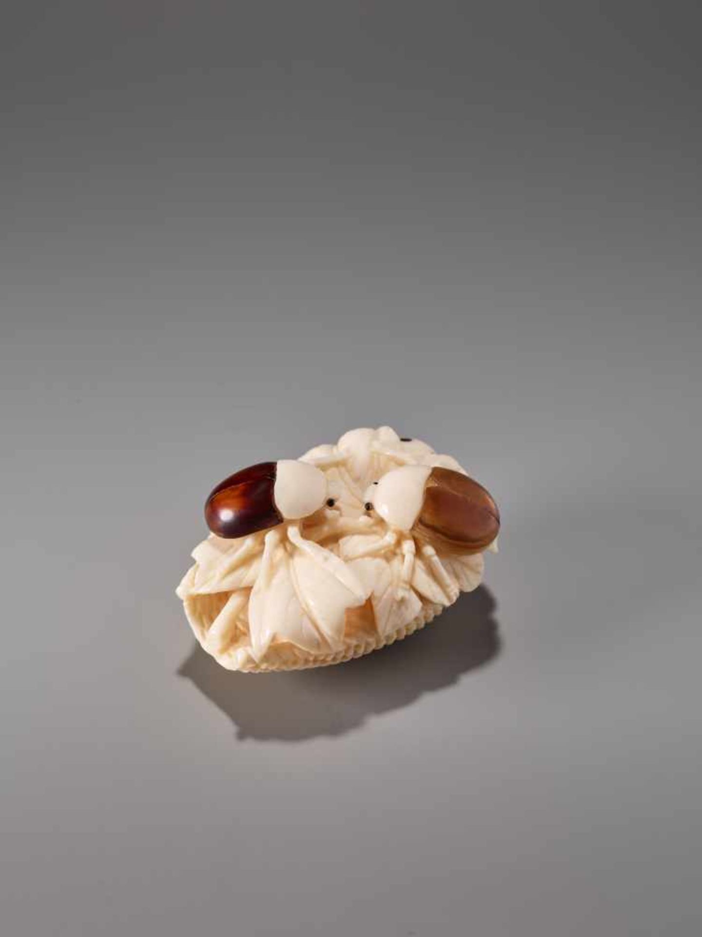 AN IVORY AND TORTOISE SHELL NETSUKE OF TWO BEETLES BY AKIHIDE Ivory with tortoise shell - Image 3 of 8