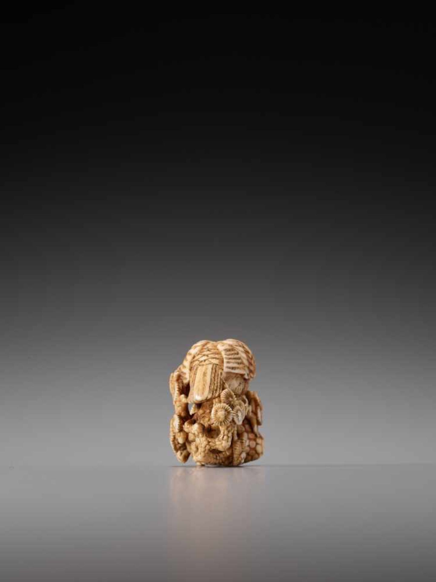 A FINE AND RARE IVORY NETSUKE OF A HAWK WITH YOUNG ON A PINE BRANCH BY CHOKUSAIIvory netsukeJapan, - Image 5 of 9