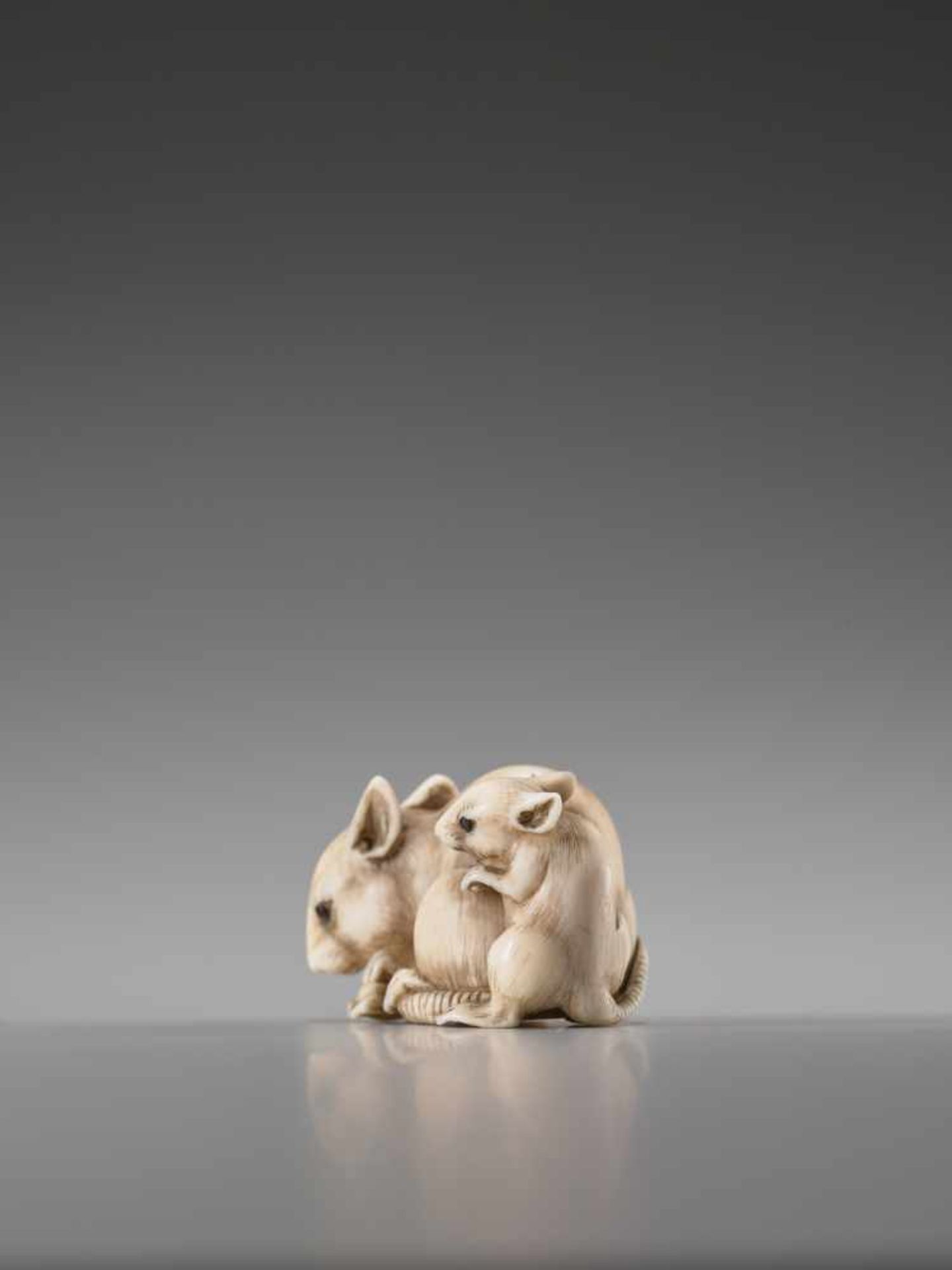 AN IVORY NETSUKE OF TWO RATS BY TOMOKAZUIvory netsukeJapan, Kyoto19th century, Edo period (1615- - Image 4 of 8