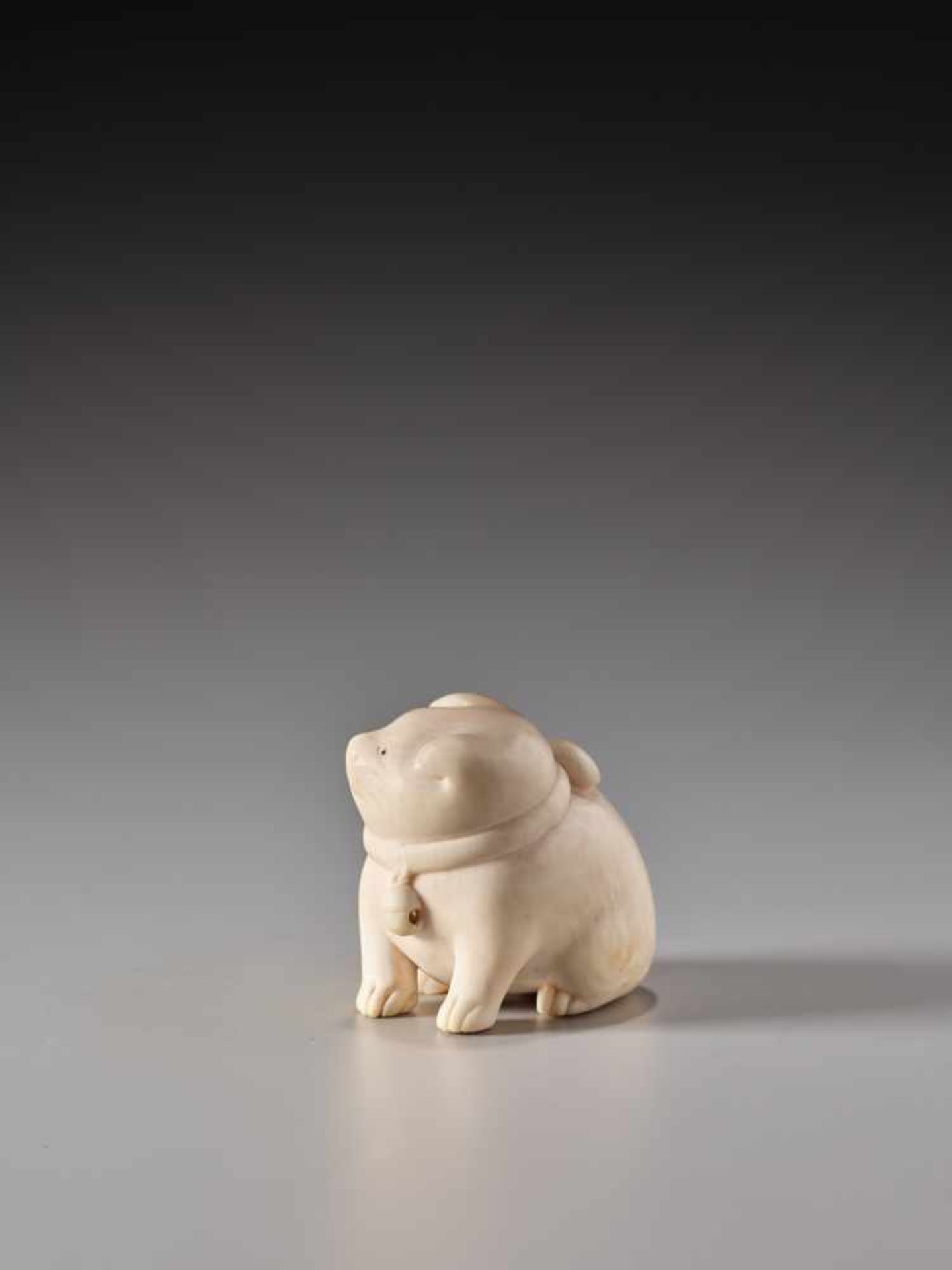 AN AMUSING IVORY NETSUKE OF A TUBBY PUPPY WITH BELLIvory netsukeJapanmid-19th century, Edo period ( - Image 3 of 6