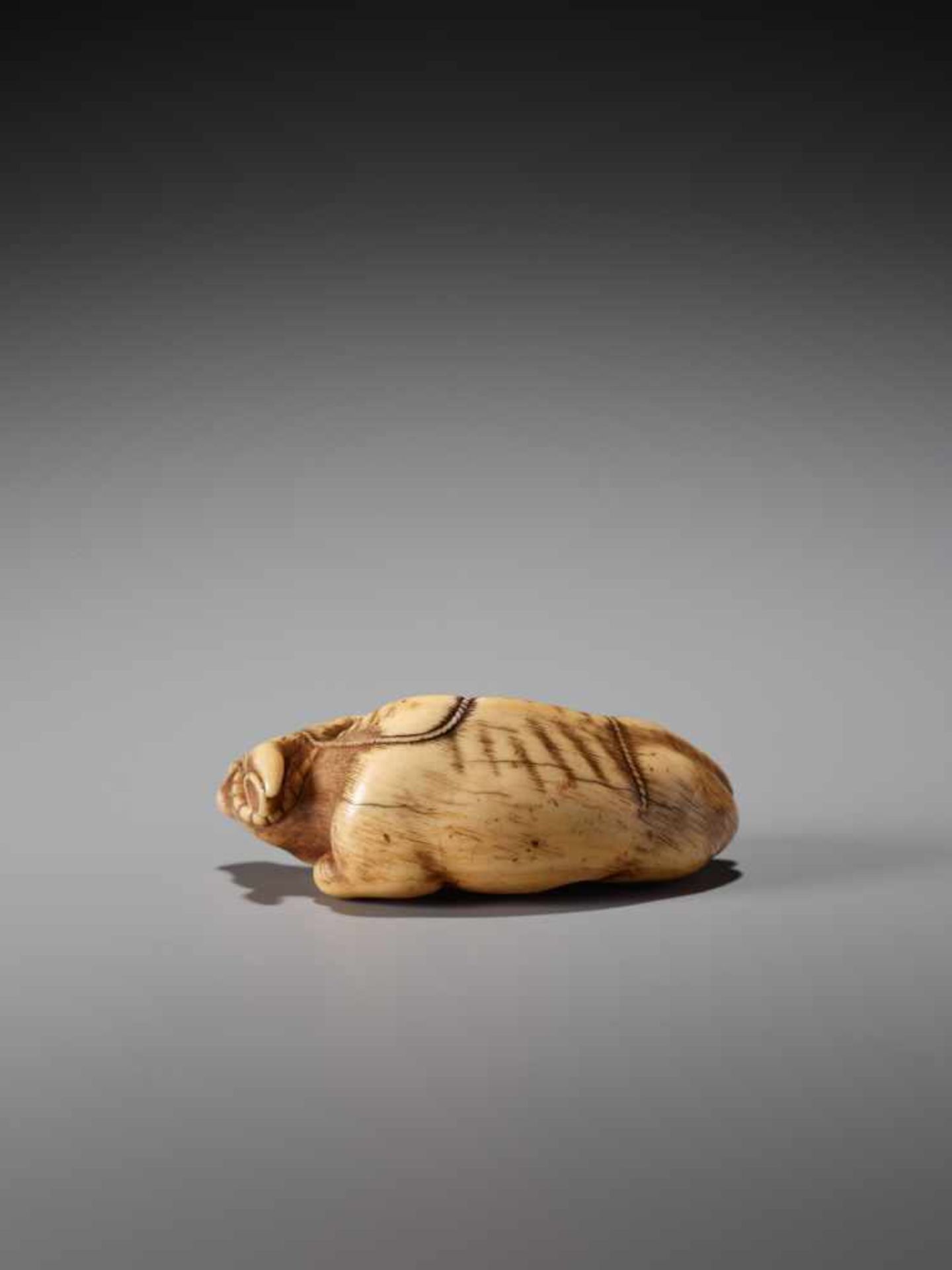 A POWERFUL IVORY NETSUKE OF A RECUMBENT OX BY TOMOTADAIvory netsukeJapan, Kyoto18th century, Edo - Image 6 of 9