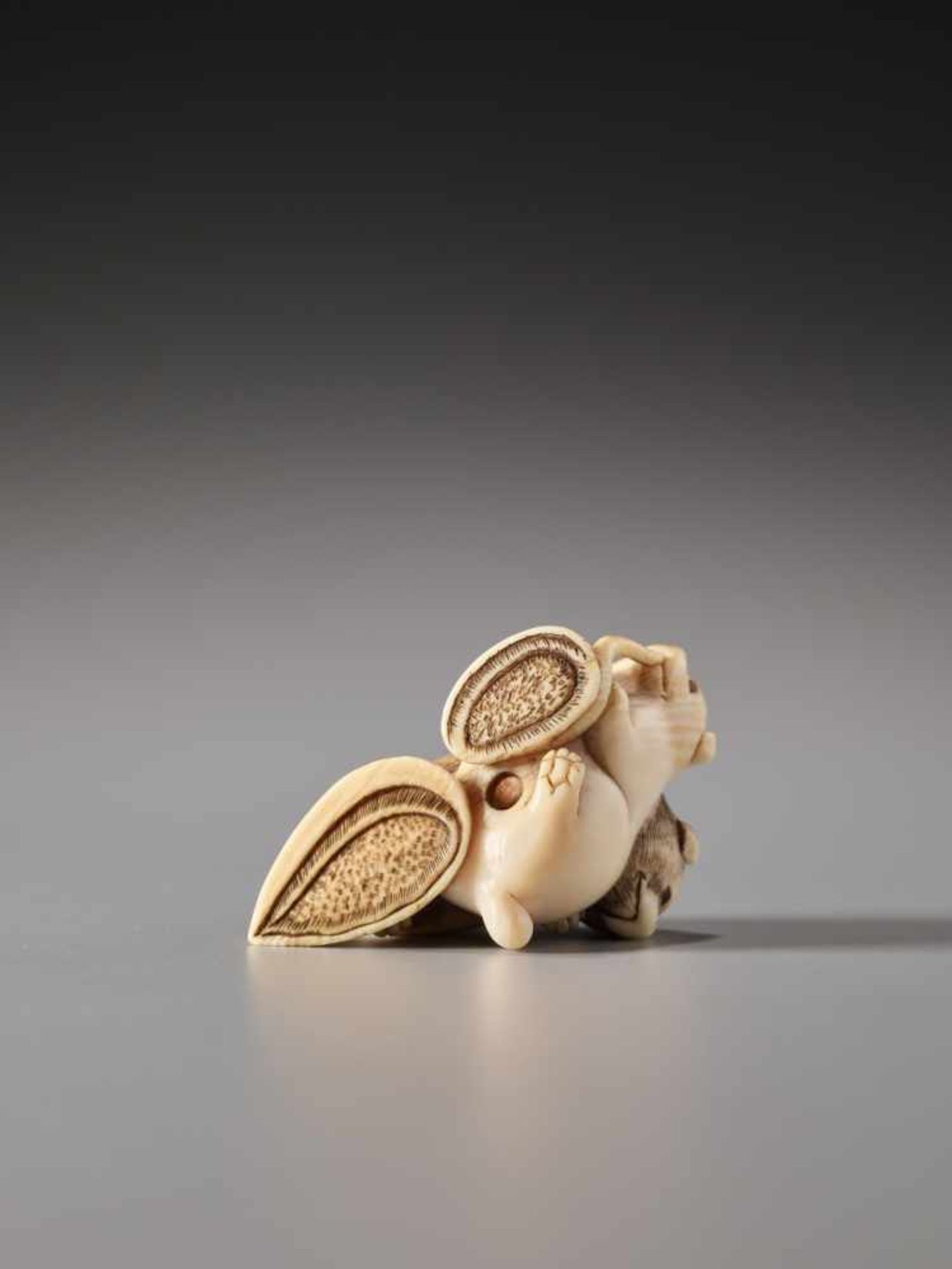 AN IVORY NETSUKE OF TWO PUPPIES FIGHTING OVER AN AWABI SHELLIvory netsukeJapan19th century to - Image 6 of 7