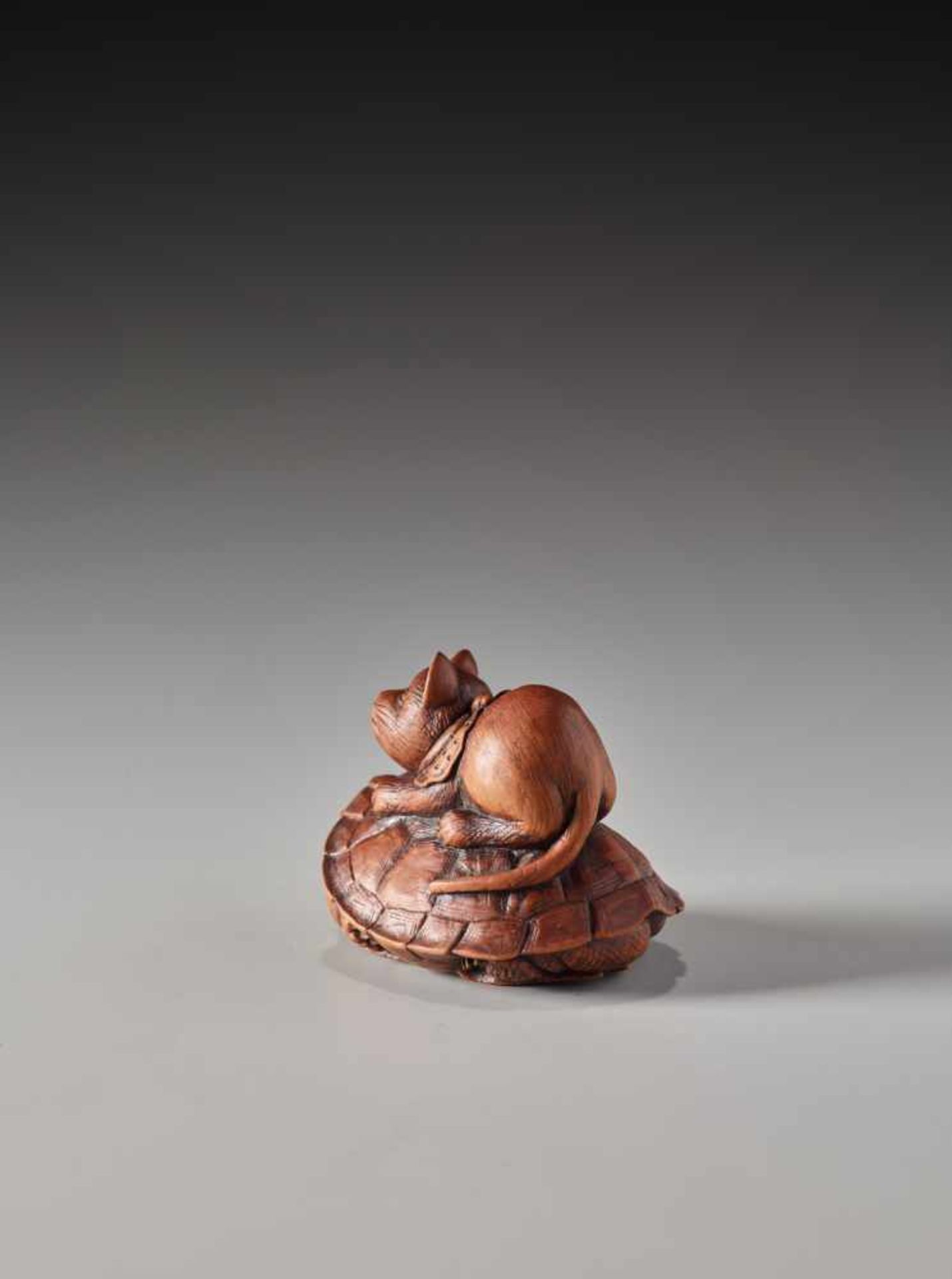 A RARE WOOD NETSUKE OF A CAT AND TORTOISE BY SHOKINWood netsukeJapan19th century, Edo period (1615- - Image 5 of 9