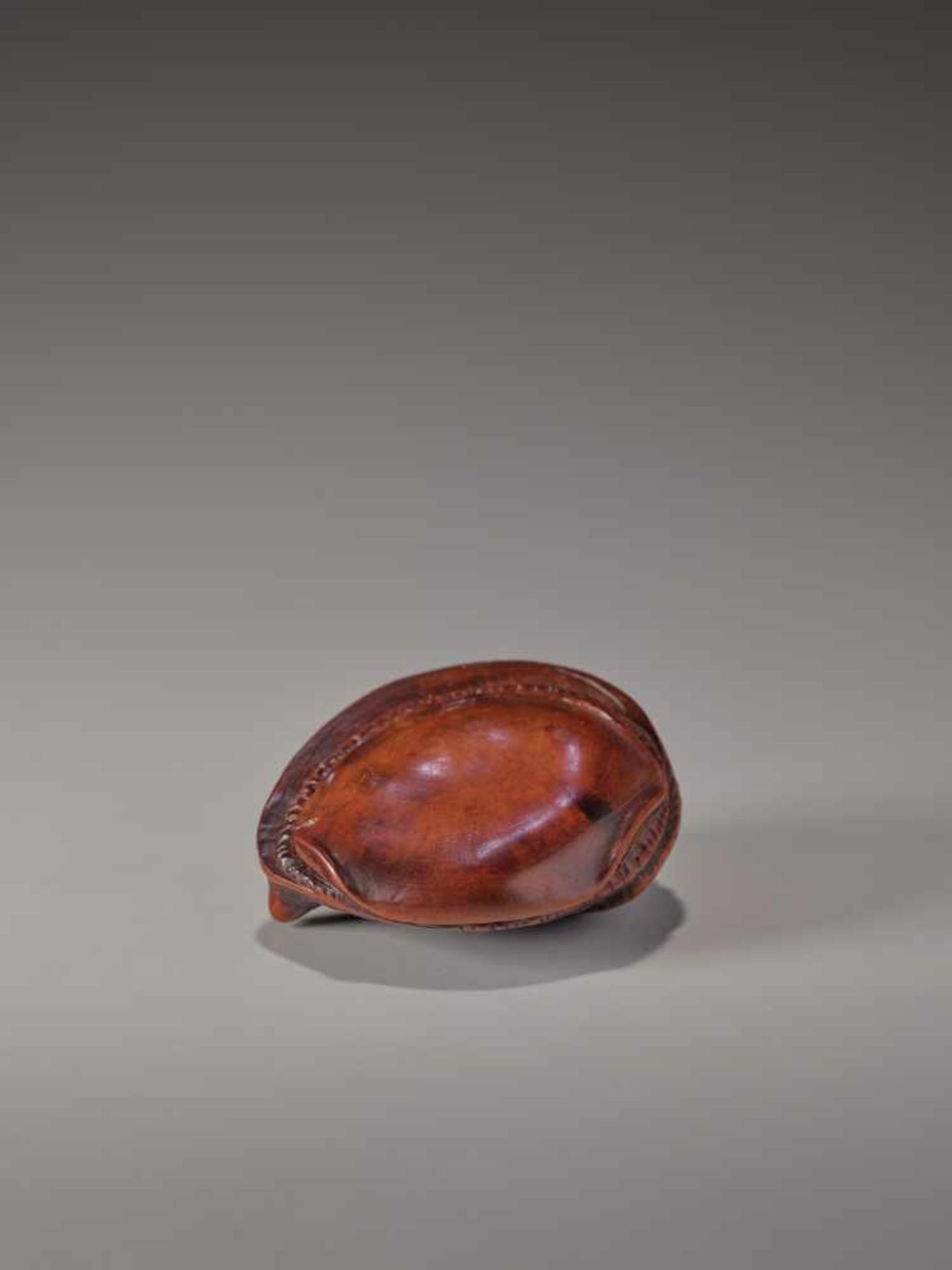 A CHERRY WOOD NETSUKE OF AN AWABI SHELL BY TADATOSHICherry wood netsukeJapan, Nagoyaearly 19th - Image 6 of 7