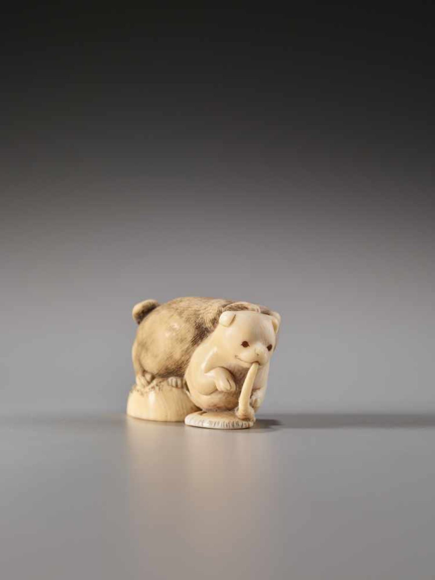 AN IVORY NETSUKE OF TWO PUPPIES FIGHTING OVER AN AWABI SHELLIvory netsukeJapan19th century to - Image 4 of 7