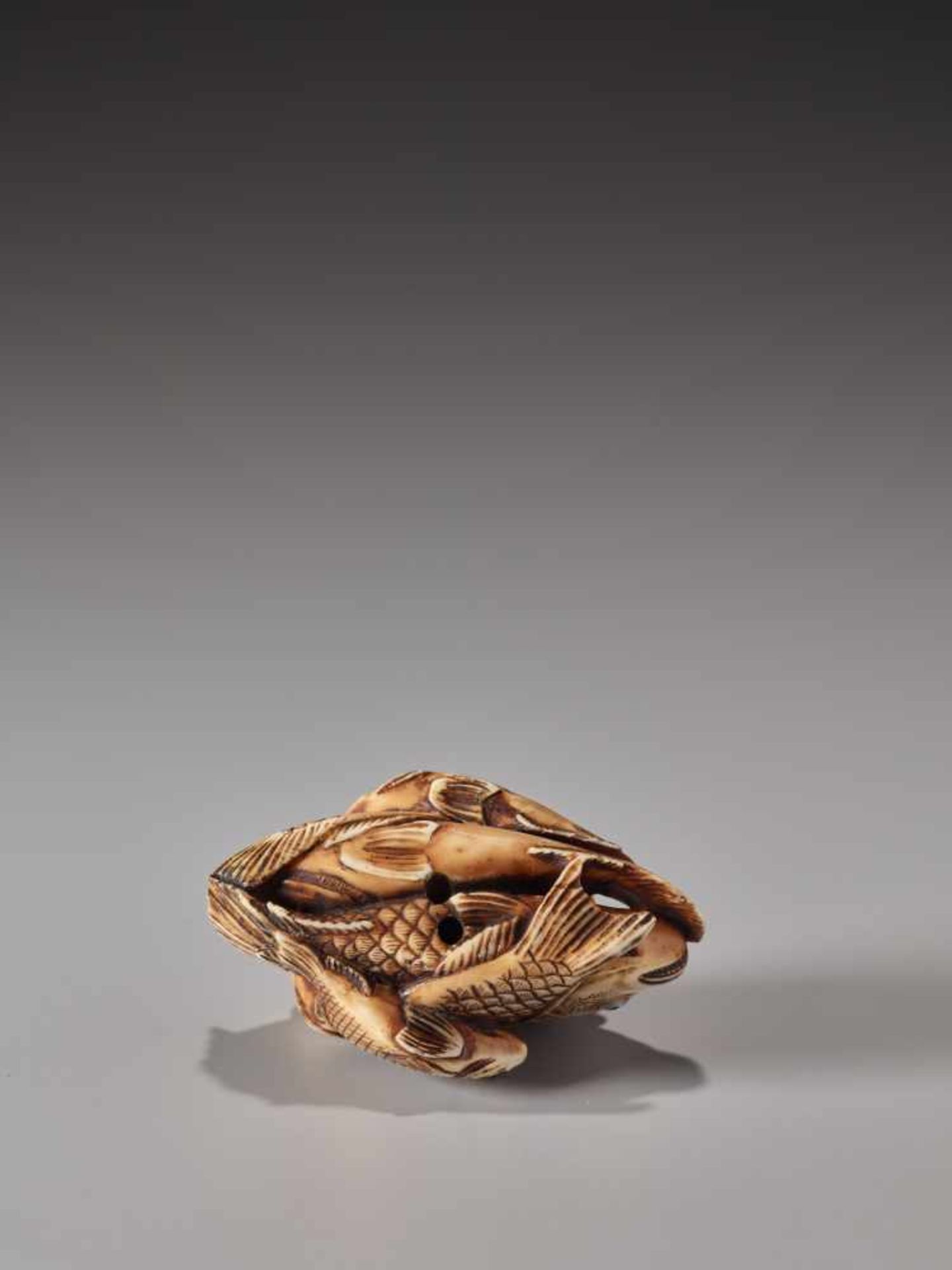 A STAINED IVORY NETSUKE OF SIX FISHESIvory netsukeJapanlate 19th century, Meiji period (1868-1912)An - Image 7 of 7