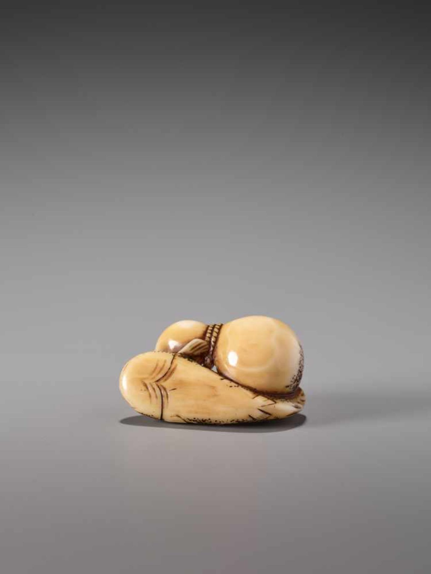 A FINE IVORY NETSUKE OF A NAMAZU TIED TO A GOURDIvory netsukeJapanearly 19th century, Edo period ( - Image 5 of 8