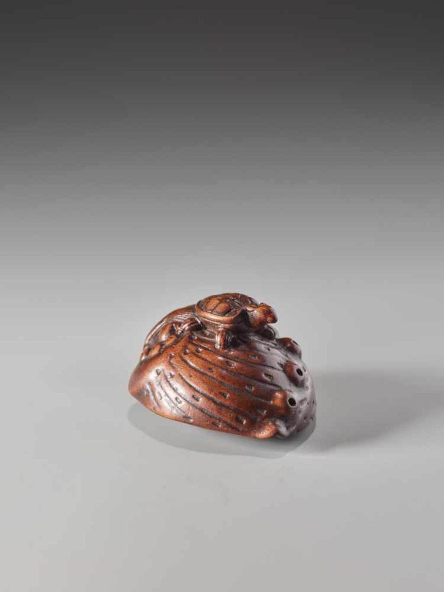 A WOOD NETSUKE OF A MINOGAME ON AN AWABIWood netsukeJapanlate 18th to 1st half of 19th century,