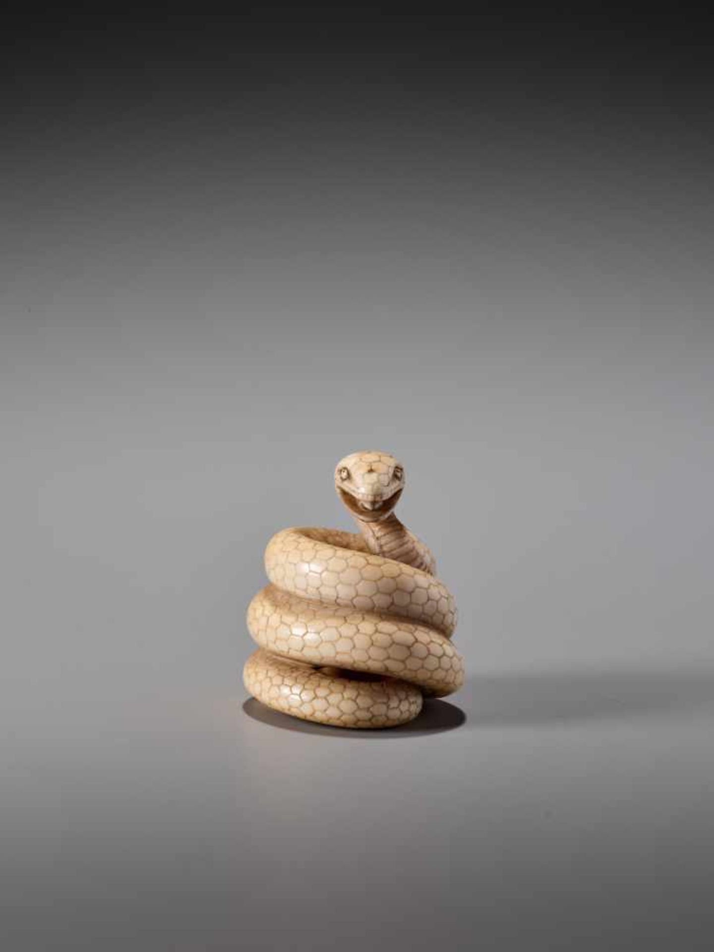 AN IVORY NETSUKE OF A COILED SNAKE SIGNED MASANAOIvory netsukeJapan19th century, Edo period (1615- - Image 3 of 10