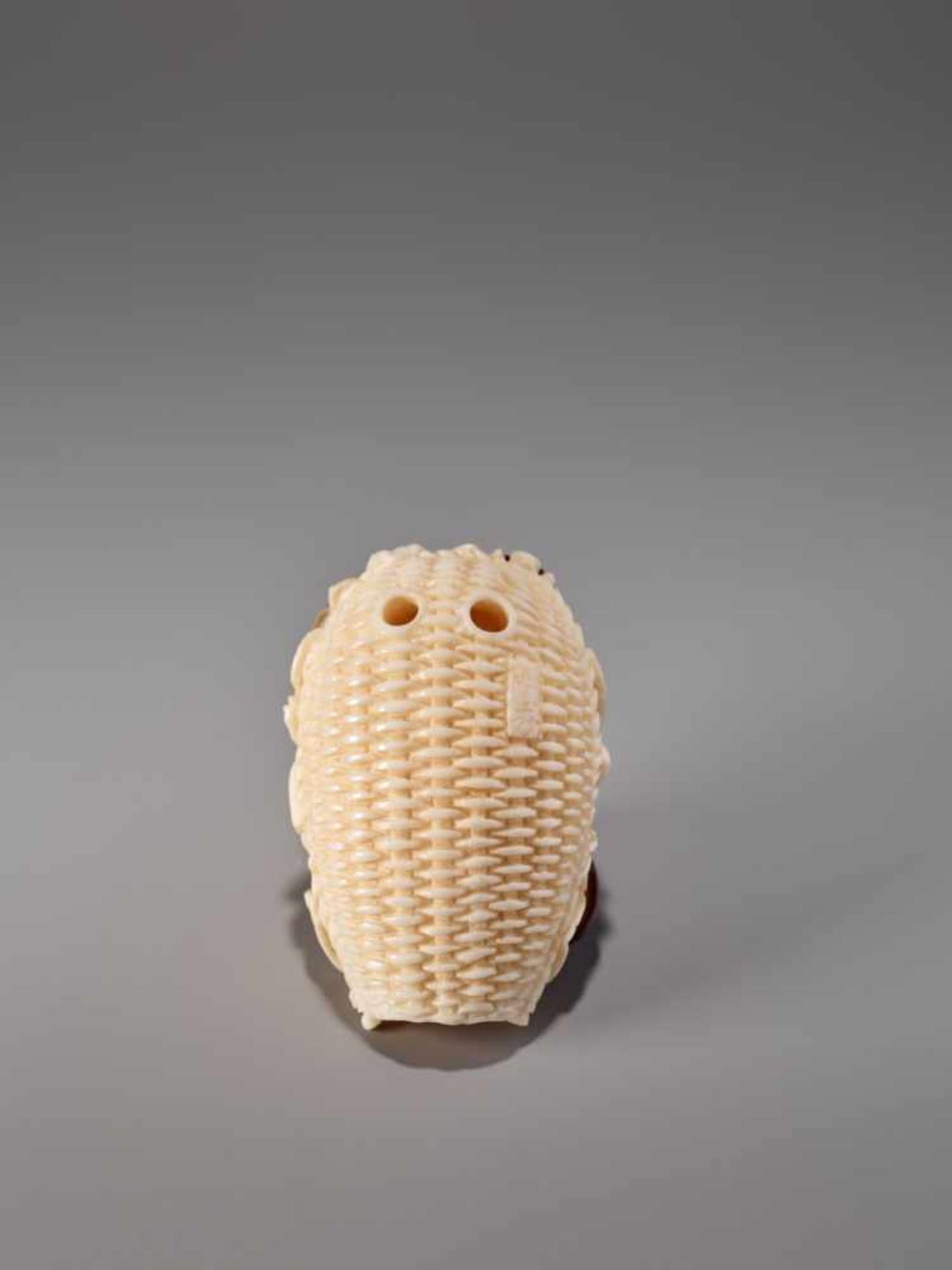 AN IVORY AND TORTOISE SHELL NETSUKE OF TWO BEETLES BY AKIHIDE Ivory with tortoise shell - Image 6 of 8