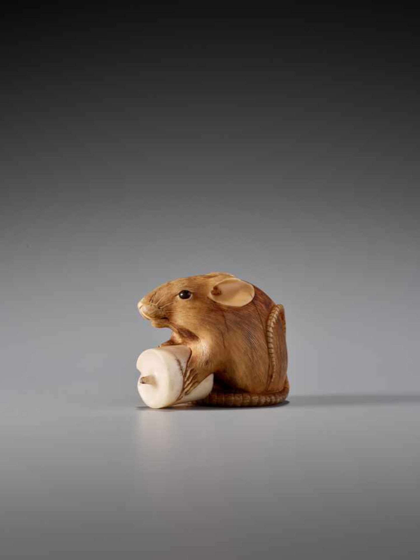 A RARE IVORY NETSUKE OF A RAT WITH CANDLE BY KANO TOMOKAZU Ivory netsuke Japan, Kyotoearly 19th - Image 2 of 11