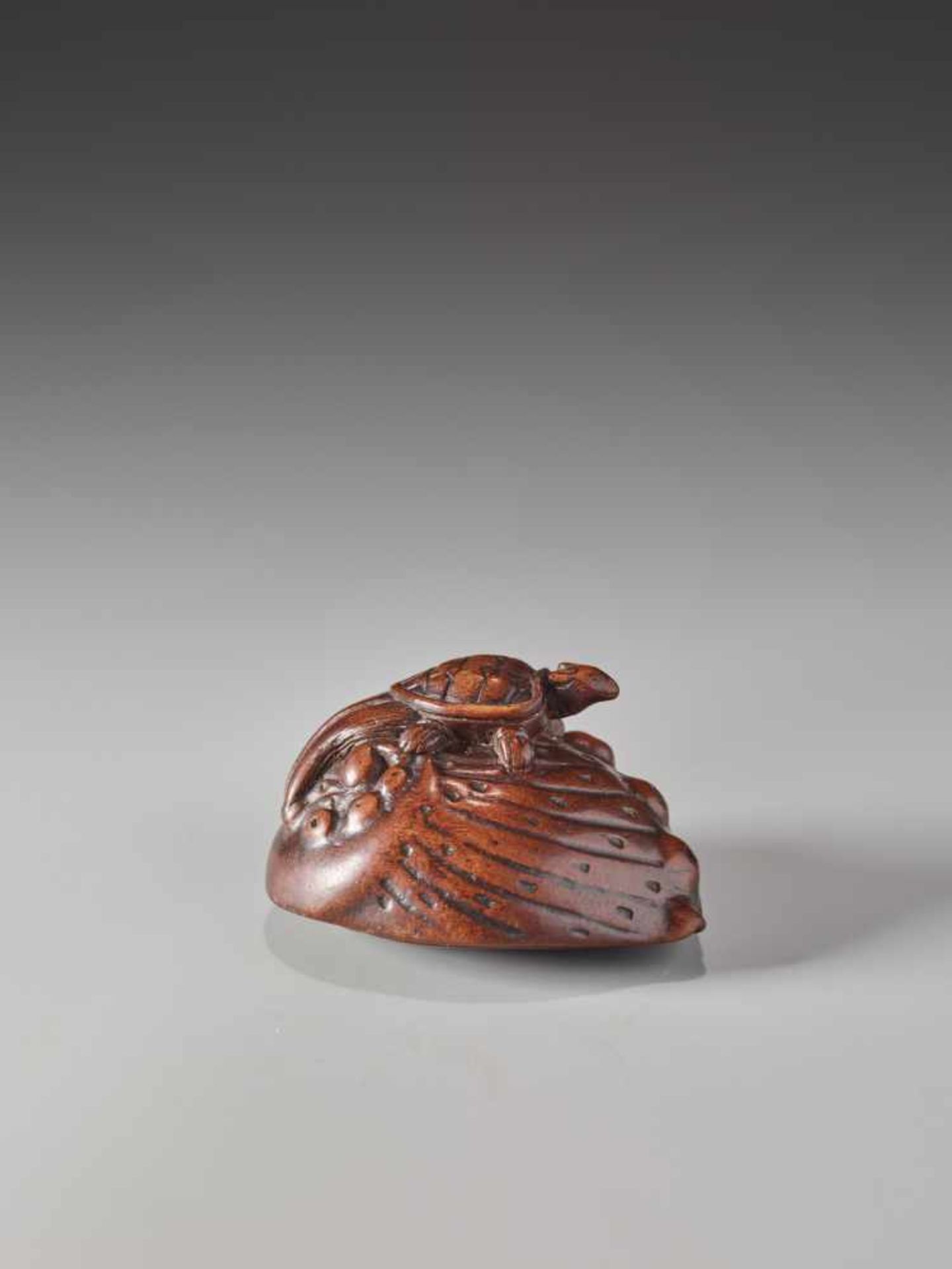A WOOD NETSUKE OF A MINOGAME ON AN AWABIWood netsukeJapanlate 18th to 1st half of 19th century, - Image 6 of 7