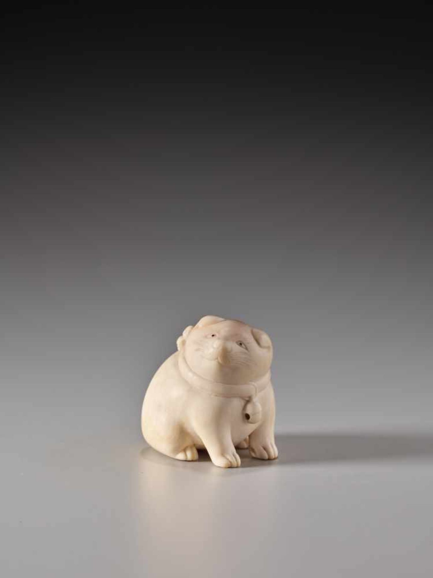 AN AMUSING IVORY NETSUKE OF A TUBBY PUPPY WITH BELLIvory netsukeJapanmid-19th century, Edo period (