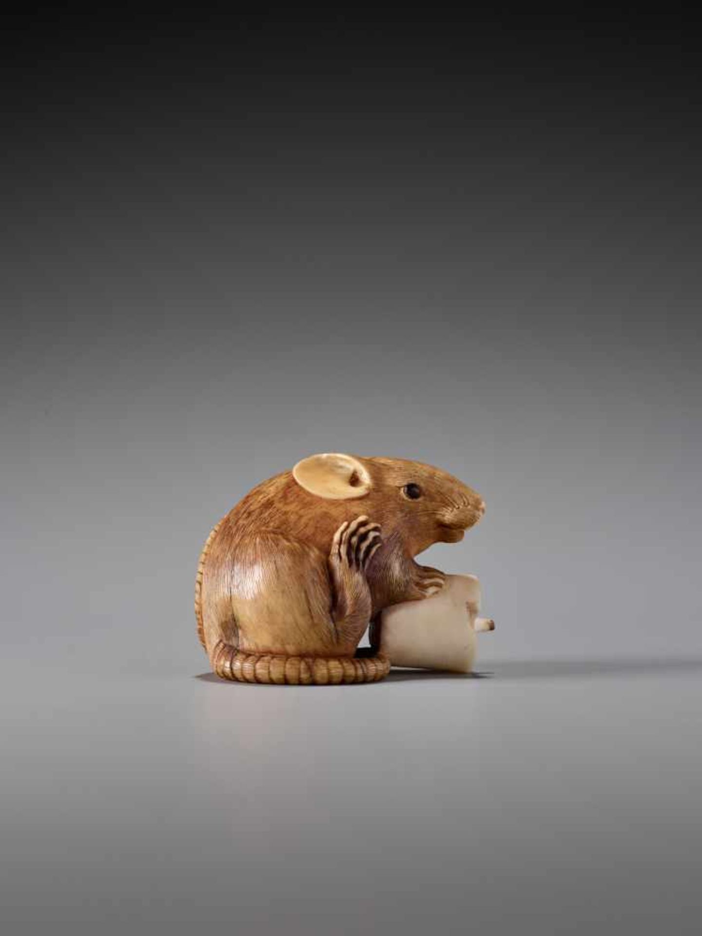 A RARE IVORY NETSUKE OF A RAT WITH CANDLE BY KANO TOMOKAZU Ivory netsuke Japan, Kyotoearly 19th - Image 5 of 11