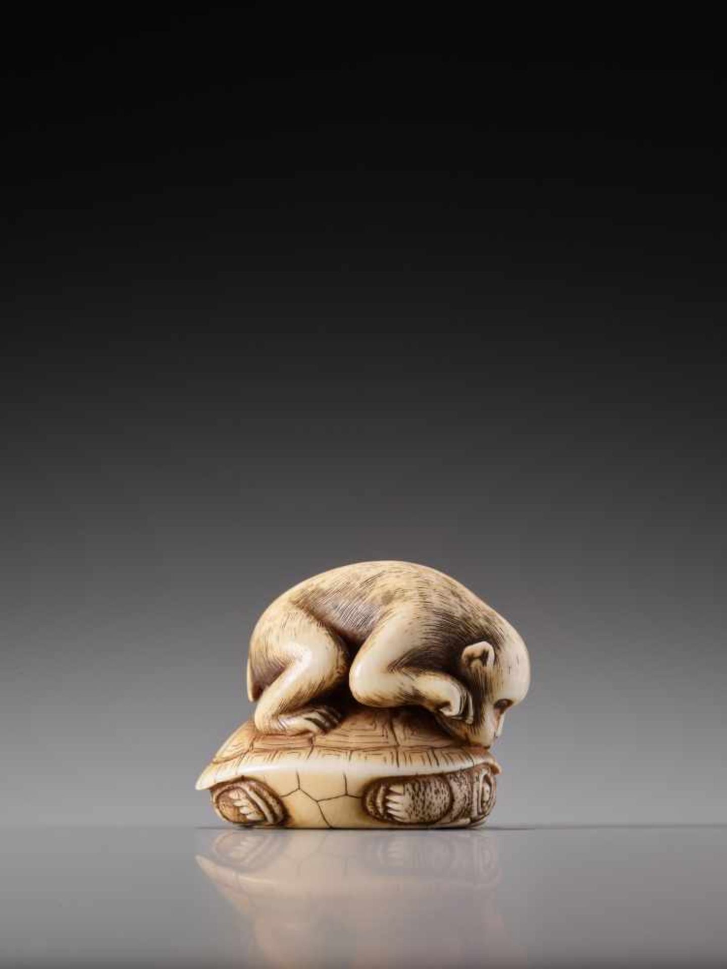 A MAGNIFICENT NETSUKE OF A MONKEY AND TORTOISE BY HOGEN RANTEIIvory netsukeJapan, Kyotolate 18th