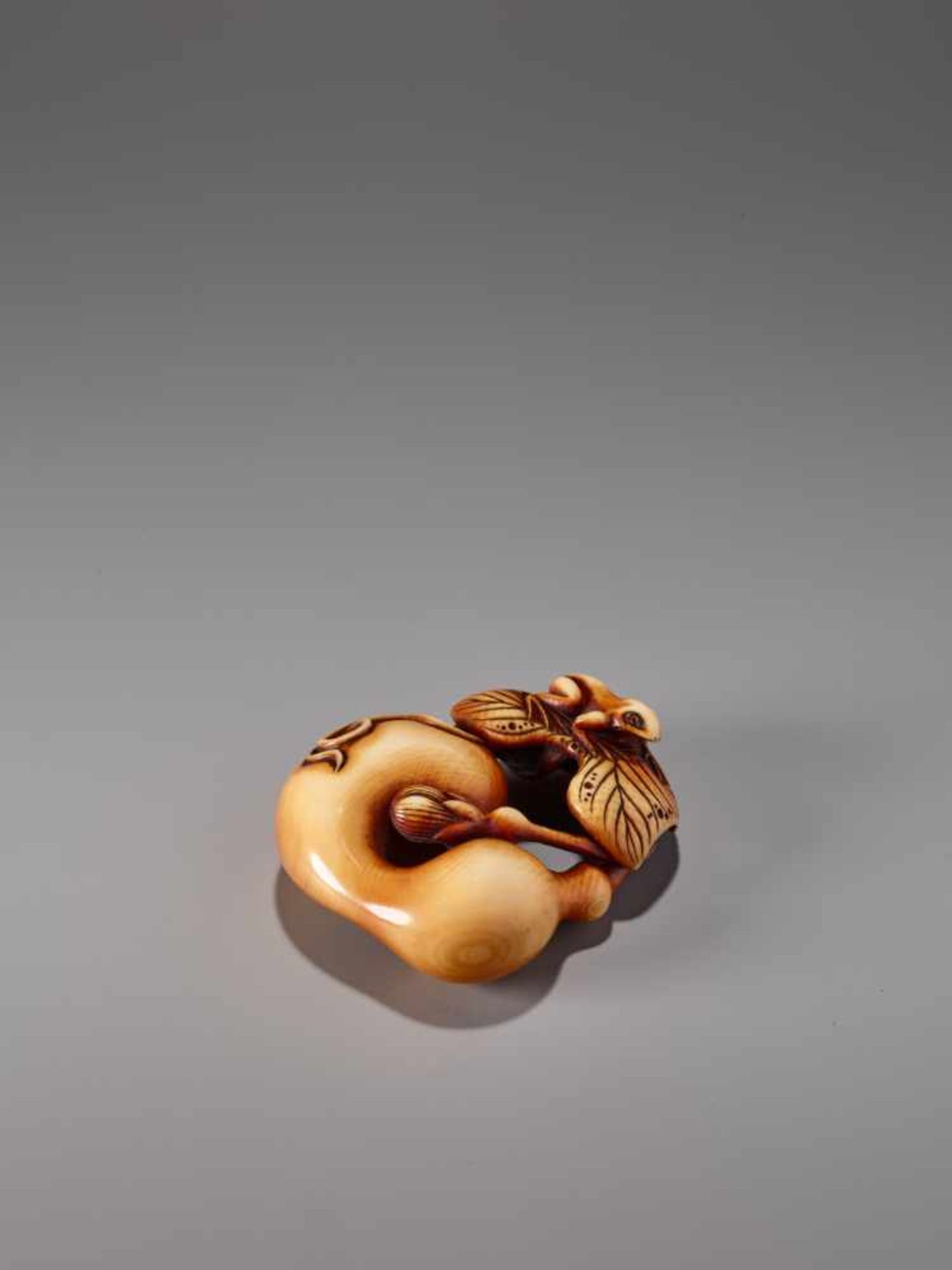 A FINE IVORY NETSUKE OF A FROG WITH GOURD BY RENSAI IIIvory netsukeJapan, Asakusalate 19th - Image 3 of 9