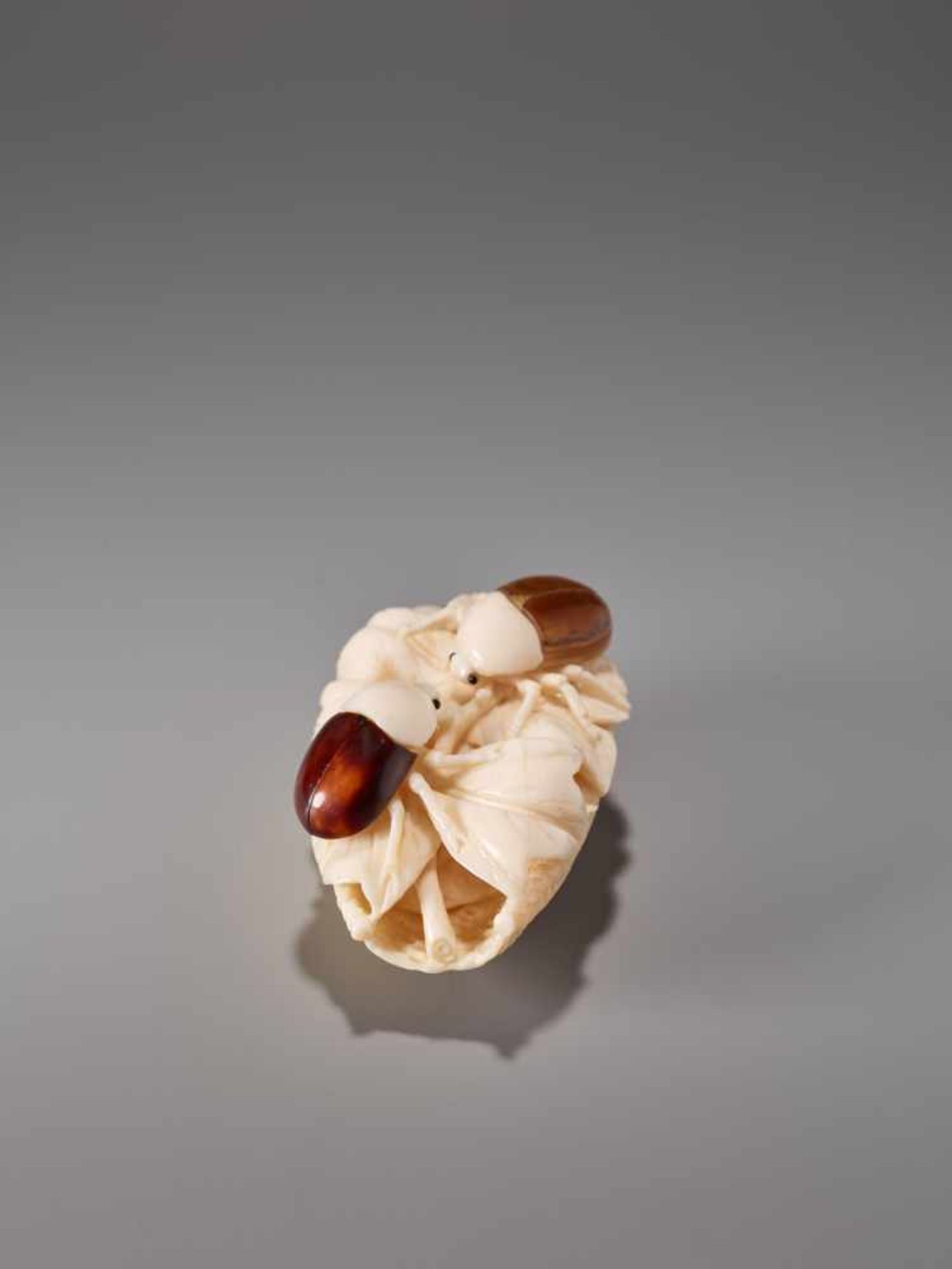 AN IVORY AND TORTOISE SHELL NETSUKE OF TWO BEETLES BY AKIHIDE Ivory with tortoise shell - Image 5 of 8