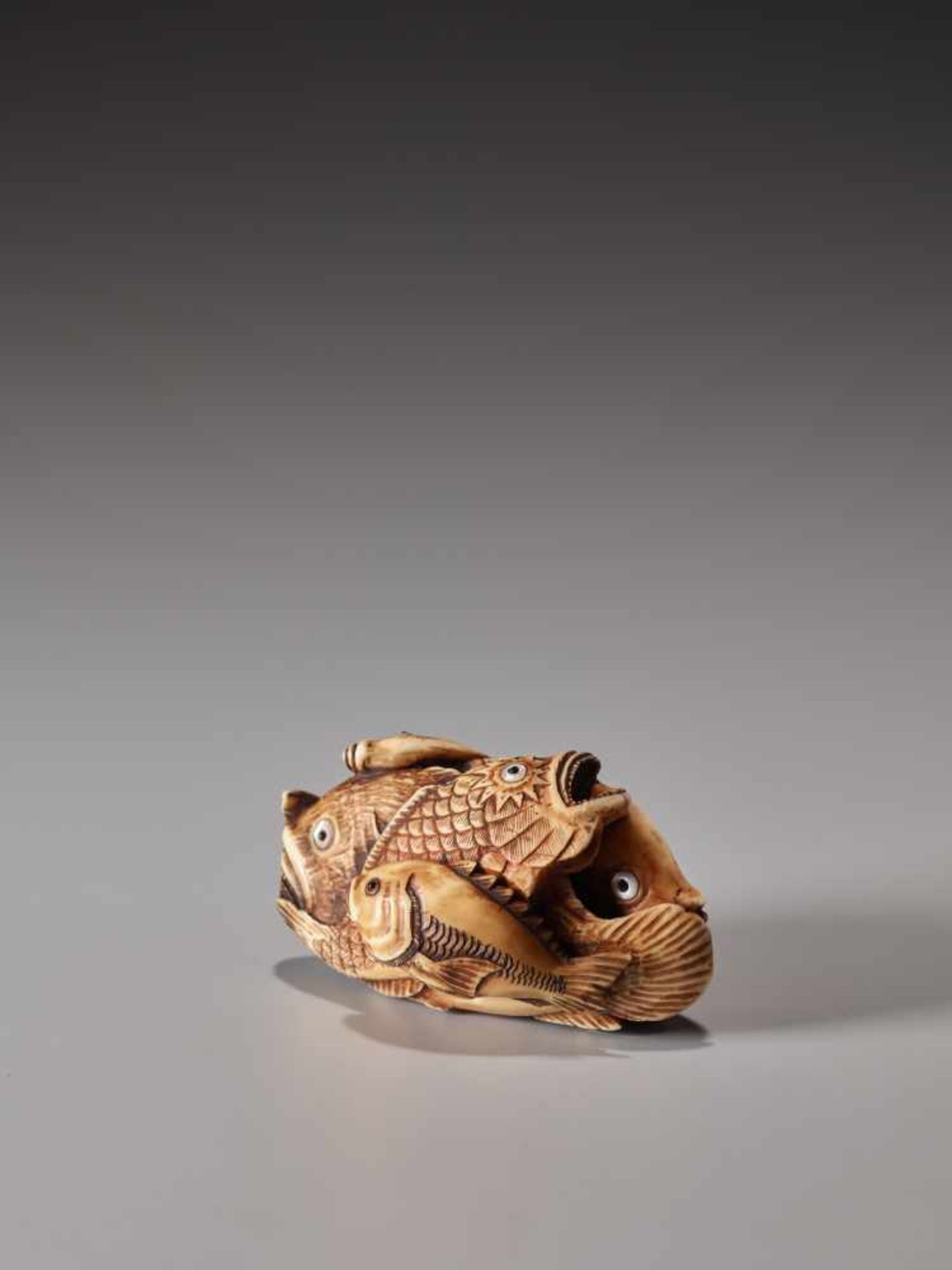 A STAINED IVORY NETSUKE OF SIX FISHESIvory netsukeJapanlate 19th century, Meiji period (1868-1912)An - Image 3 of 7