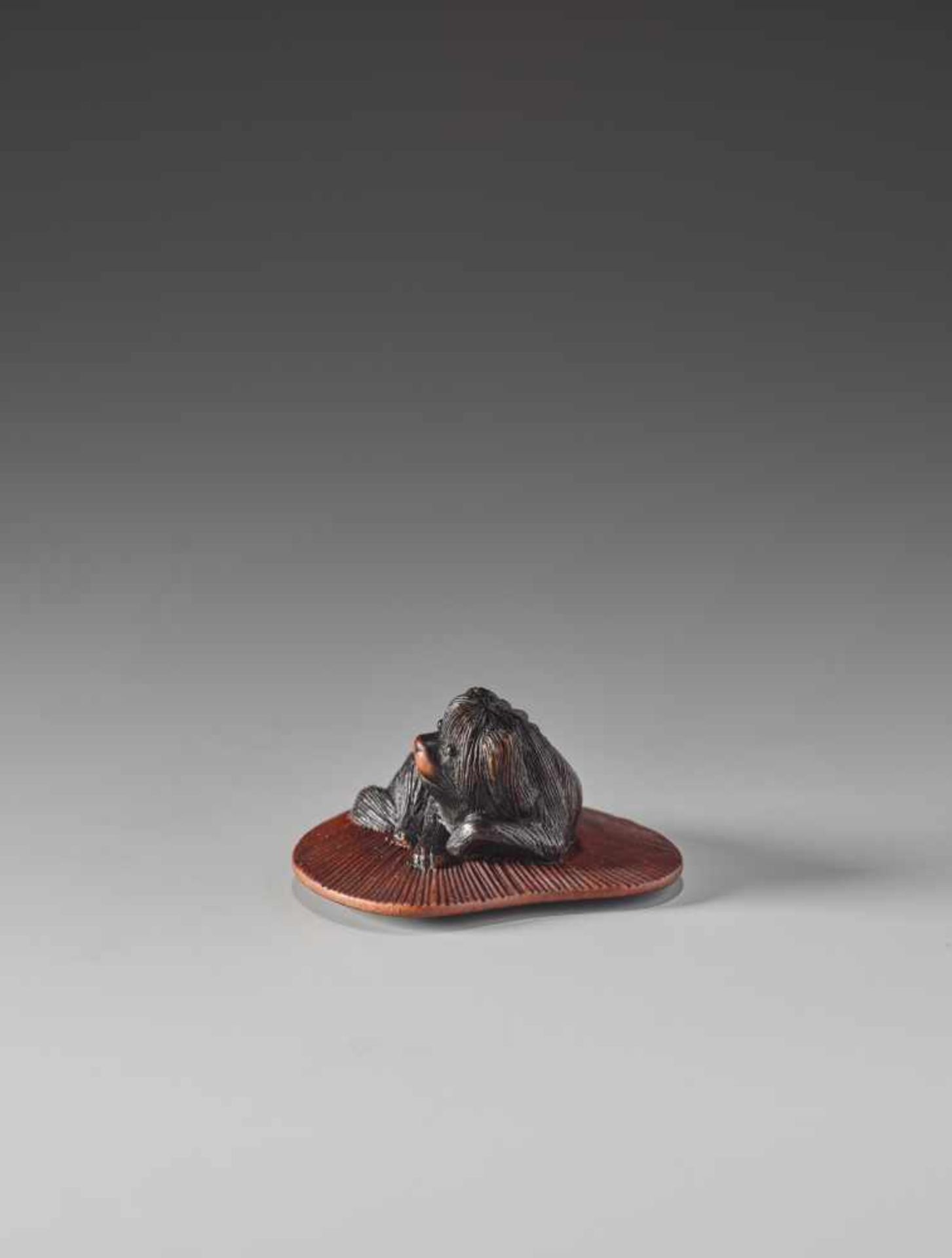 A FINE WOOD NETSUKE OF A PEKINGESE DOG ON A FAN WITH INSCRIBED LACQUER POEM BY MASATOMOWood - Image 7 of 9