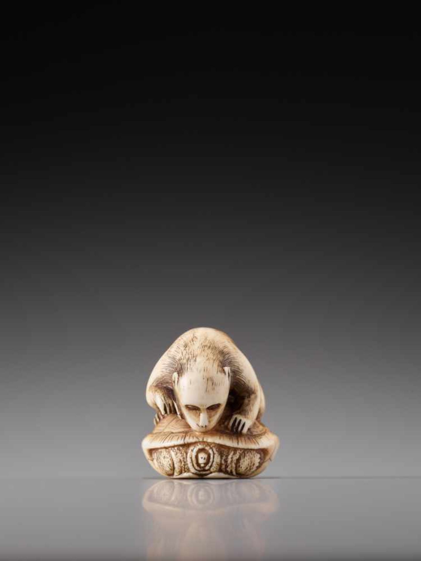 A MAGNIFICENT NETSUKE OF A MONKEY AND TORTOISE BY HOGEN RANTEIIvory netsukeJapan, Kyotolate 18th - Image 4 of 10