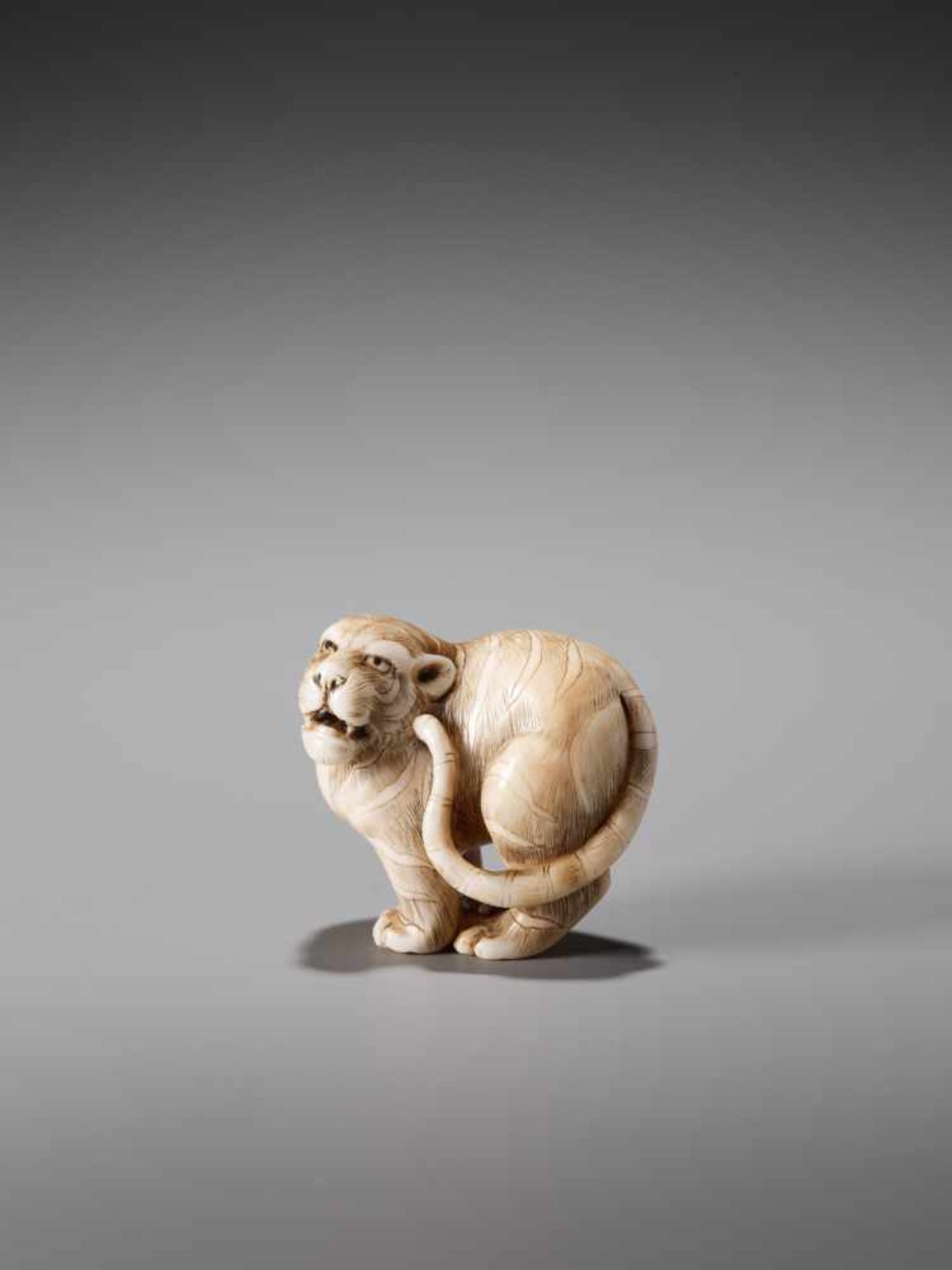 AN EXCELLENT IVORY NETSUKE OF A TIGER SIGNED OKATORIIvory netsukeJapan, Kyoto19th century, Edo - Image 3 of 11