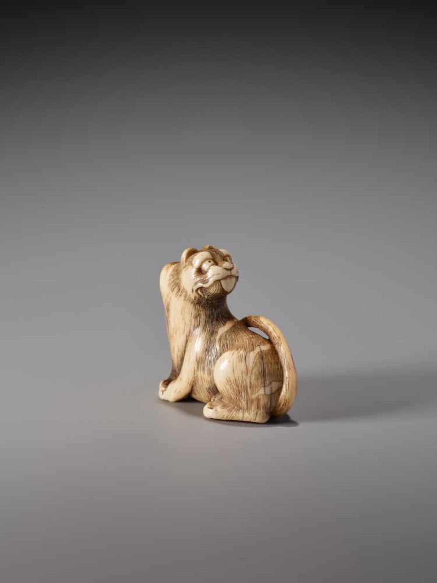 A HUMOROUS IVORY NETSUKE OF A SEATED TIGER WITH ITS TONGUE STRETCHED OUTIvory netsukeJapanearly 19th