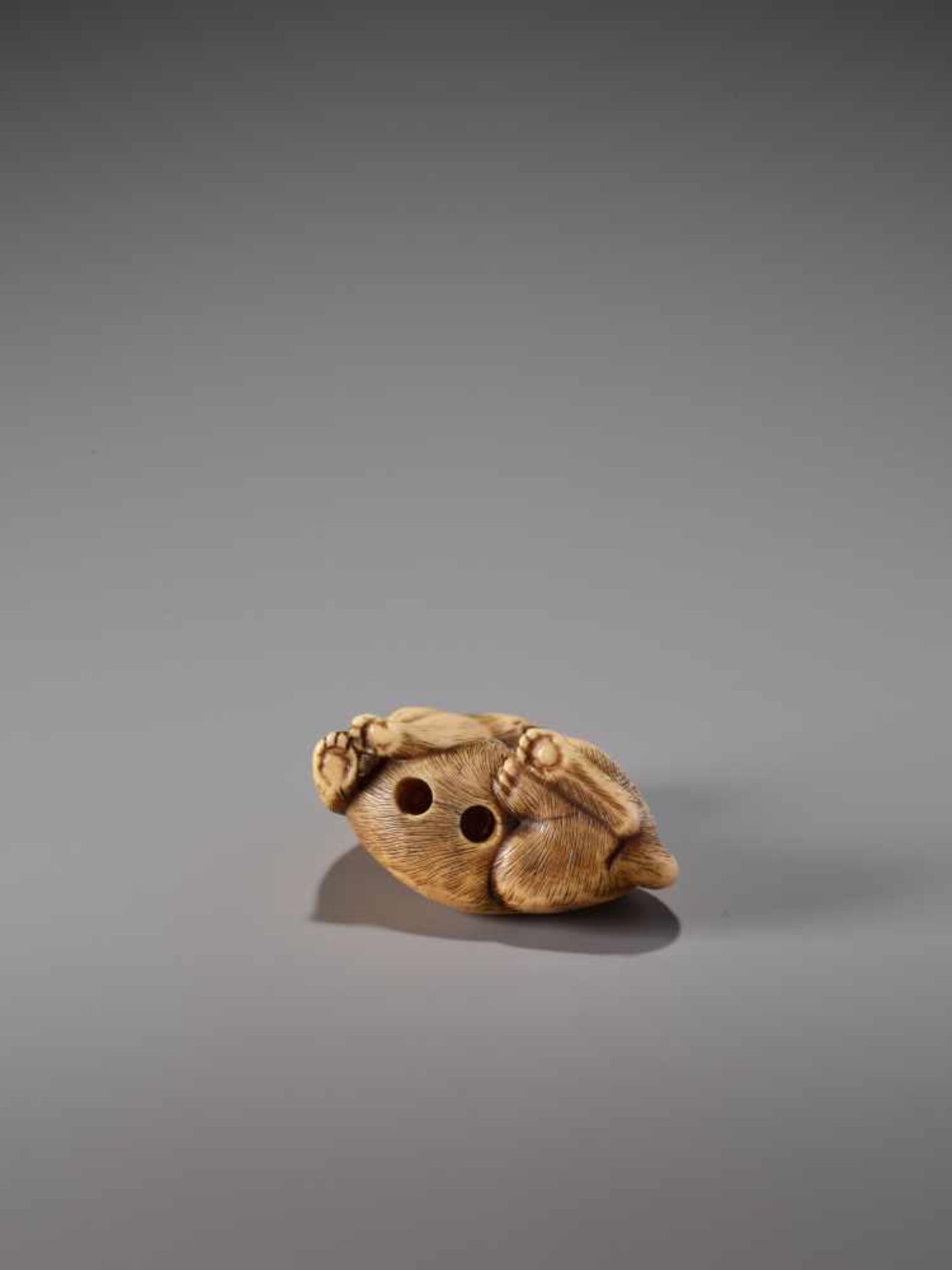 A HUMOROUS IVORY NETSUKE OF A SEATED TIGER WITH ITS TONGUE STRETCHED OUTIvory netsukeJapanearly 19th - Image 7 of 9