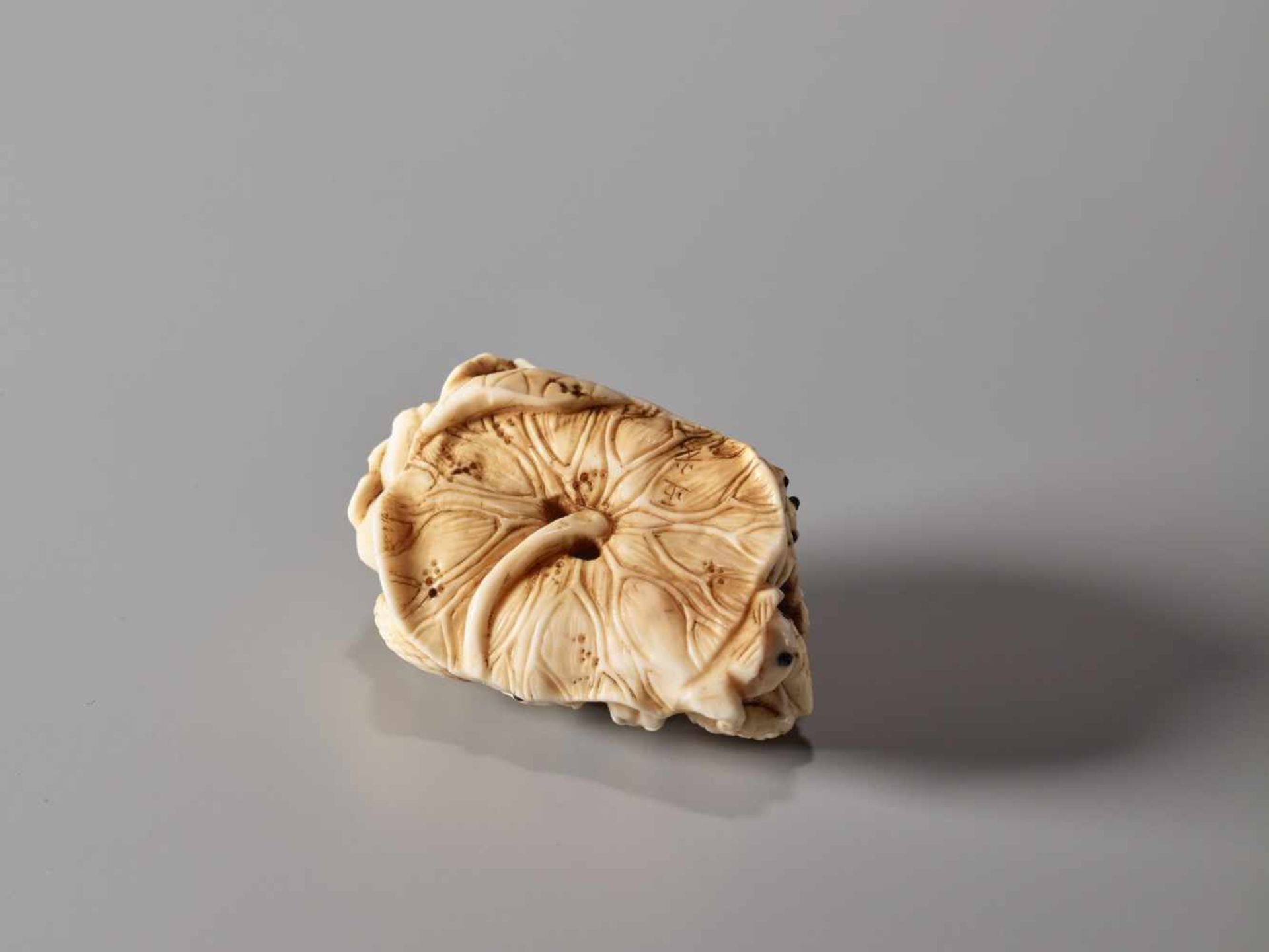 AN IVORY NETSUKE OF MANY TOADS ON A LOTUS LEAF BY MASAMITSUIvory netsukeJapanlate 19th century, - Image 6 of 7