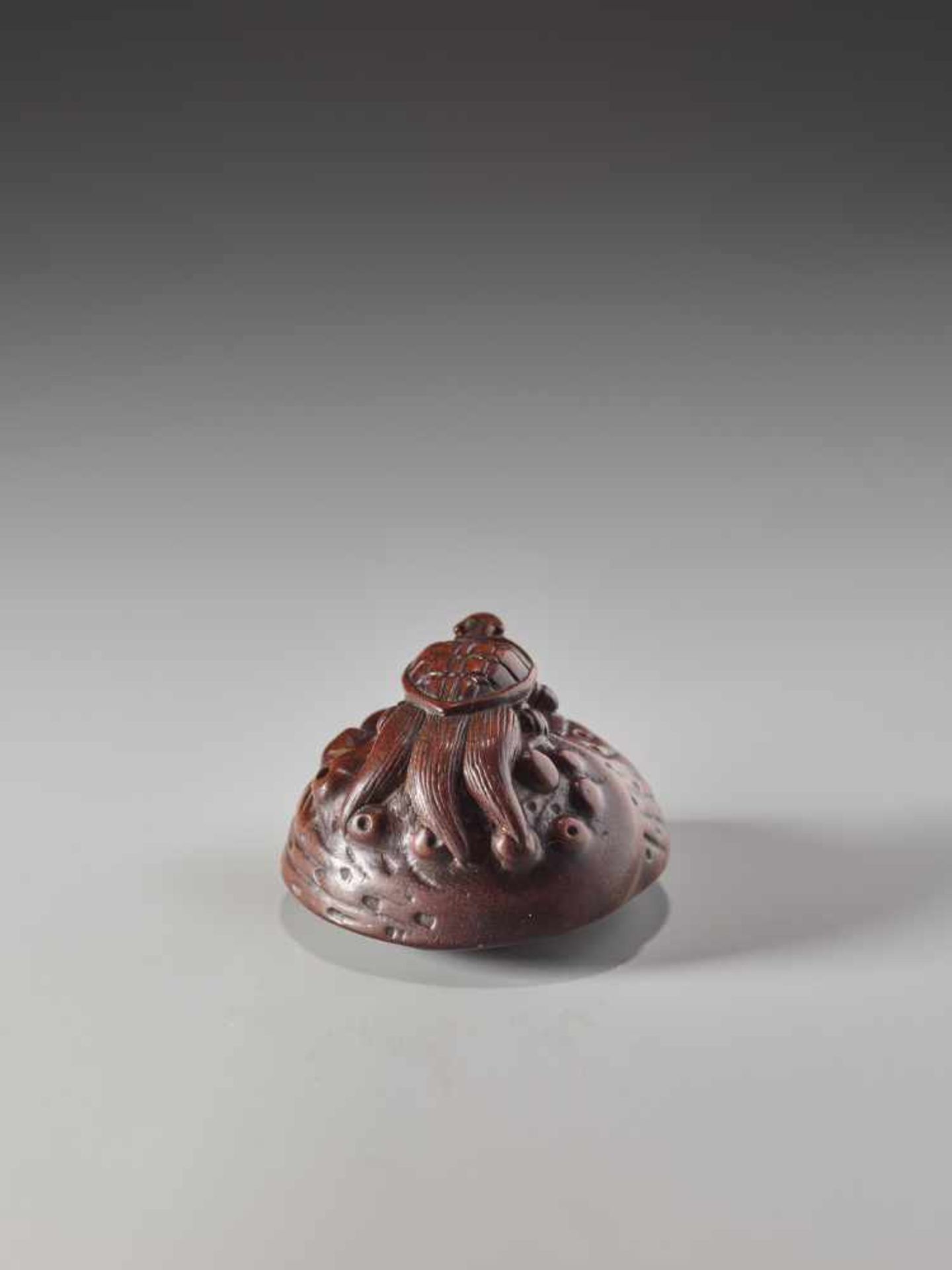 A WOOD NETSUKE OF A MINOGAME ON AN AWABIWood netsukeJapanlate 18th to 1st half of 19th century, - Image 5 of 7