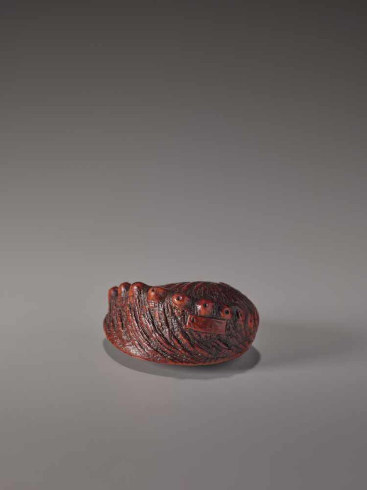 A CHERRY WOOD NETSUKE OF AN AWABI SHELL BY TADATOSHICherry wood netsukeJapan, Nagoyaearly 19th - Image 3 of 7