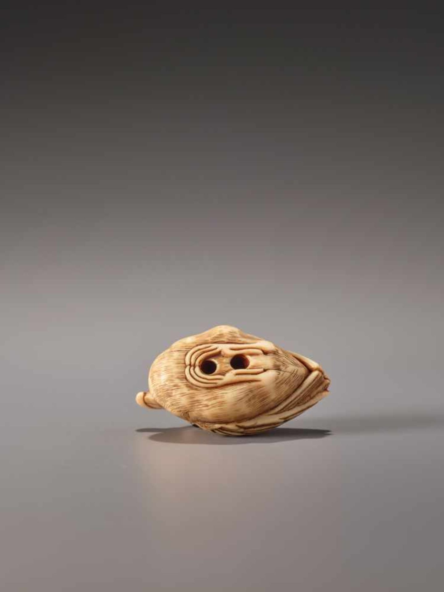 A VERY RARE IVORY NETSUKE OF A SEATED AHODORI (ALBATROSS)Ivory netsukeJapan1st half of 19th century, - Image 5 of 7