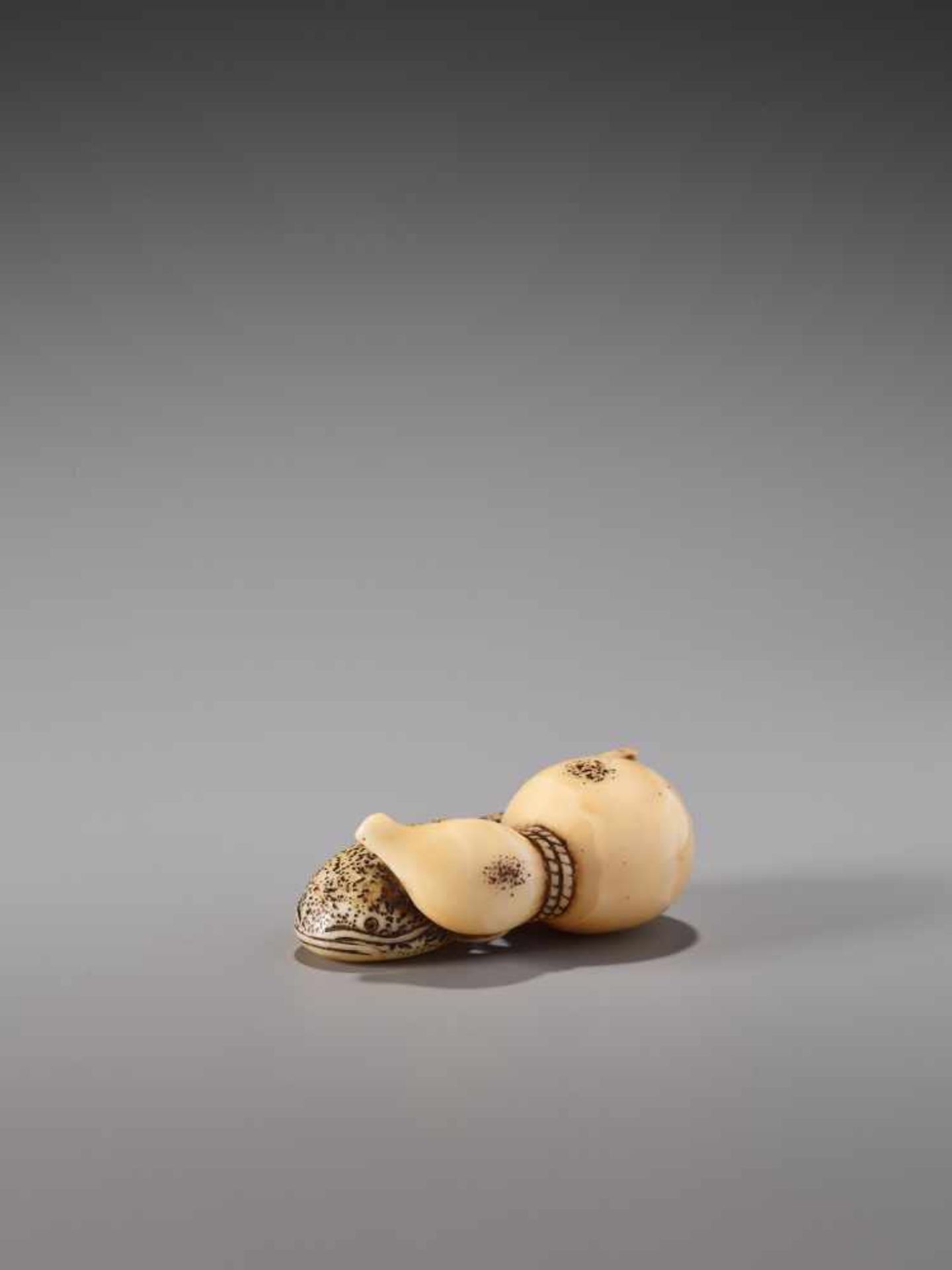 A FINE IVORY NETSUKE OF A NAMAZU TIED TO A GOURDIvory netsukeJapanearly 19th century, Edo period (