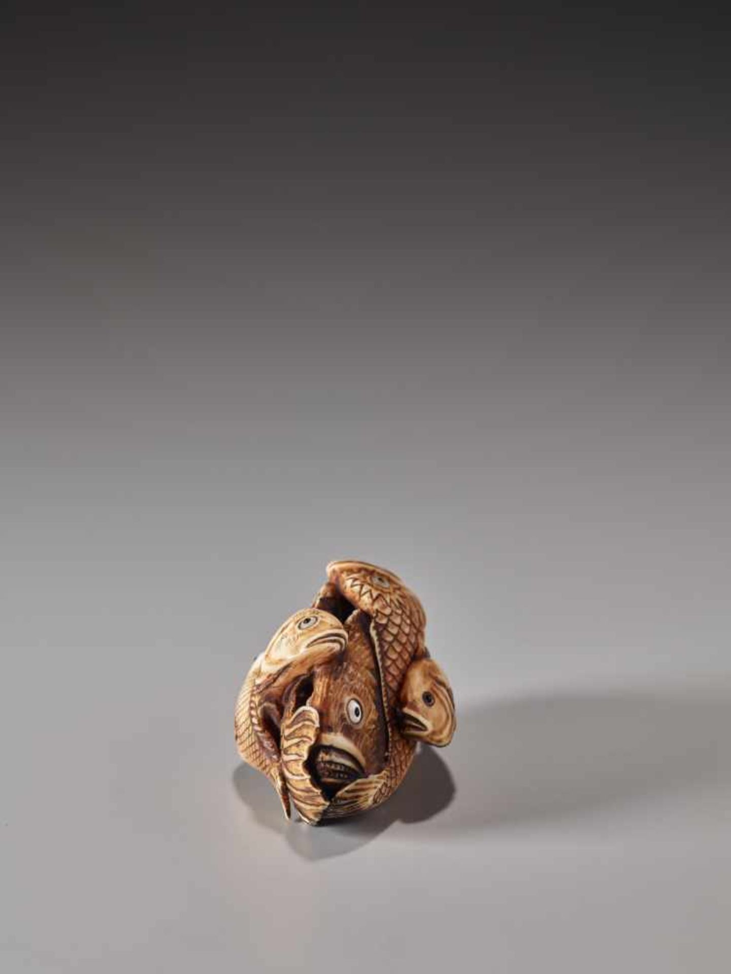 A STAINED IVORY NETSUKE OF SIX FISHESIvory netsukeJapanlate 19th century, Meiji period (1868-1912)An - Image 6 of 7