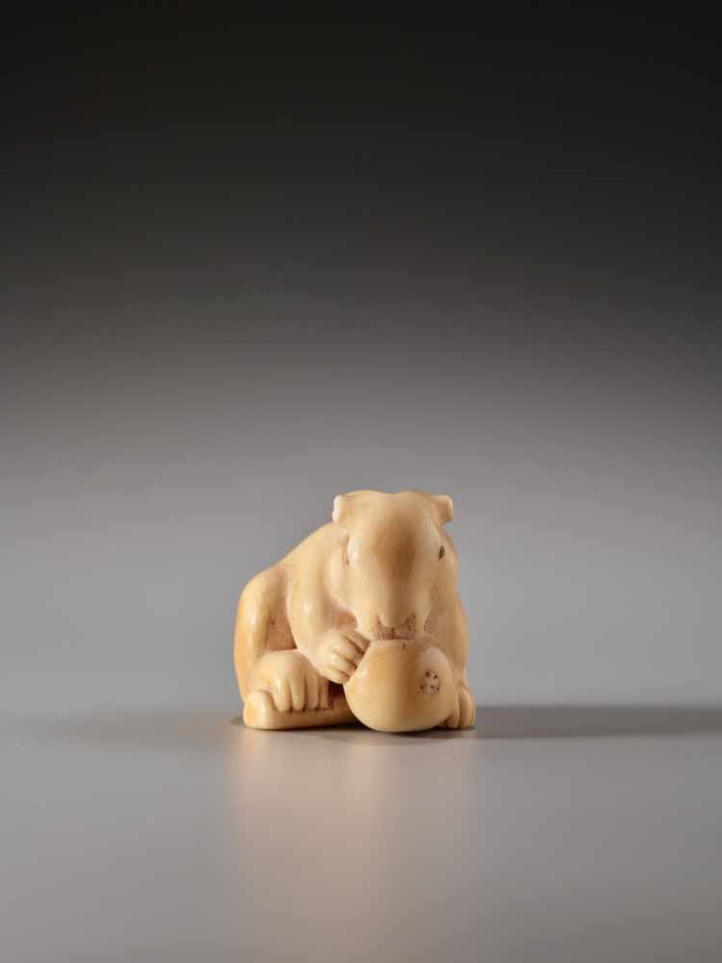 AN IVORY NETSUKE OF A RABBIT WITH LOQUAT BY IKKOIvory netsukeJapan, Nagoya19th century, Edo - Image 3 of 9