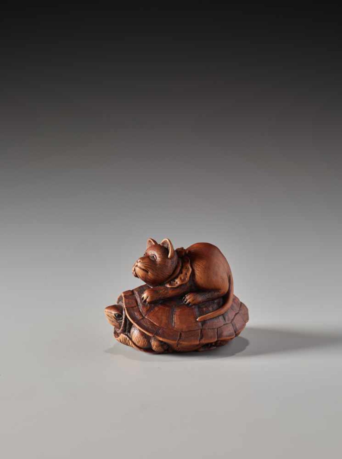 A RARE WOOD NETSUKE OF A CAT AND TORTOISE BY SHOKINWood netsukeJapan19th century, Edo period (1615- - Image 6 of 9