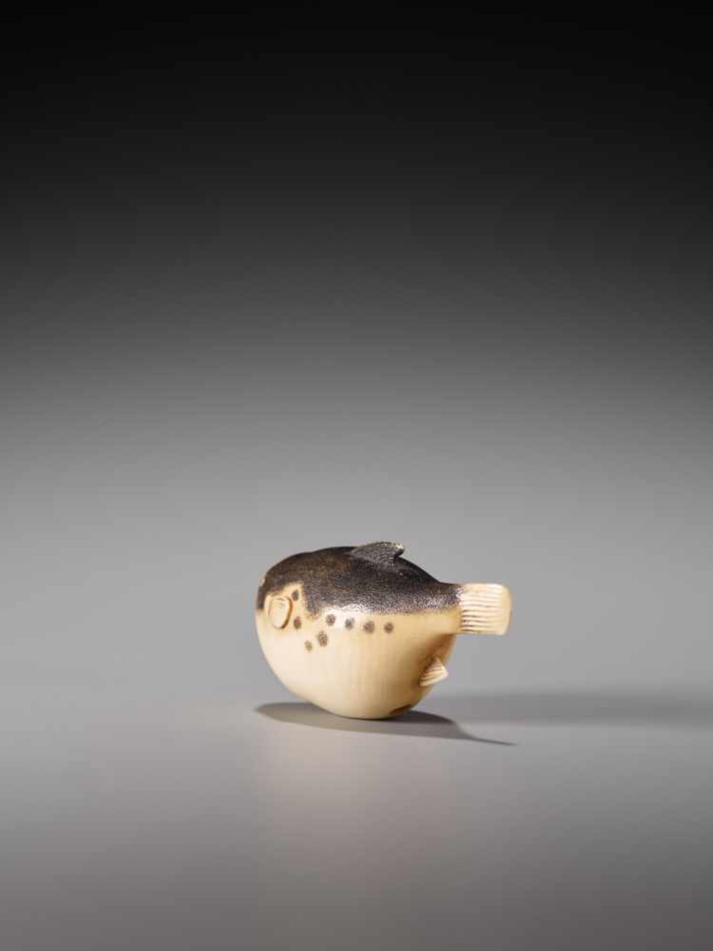 AN AMUSING IVORY NETSUKE OF A FUGU FISHIvory netsukeJapanlate 19th/20th centuryThe fugu fish, also - Image 5 of 8