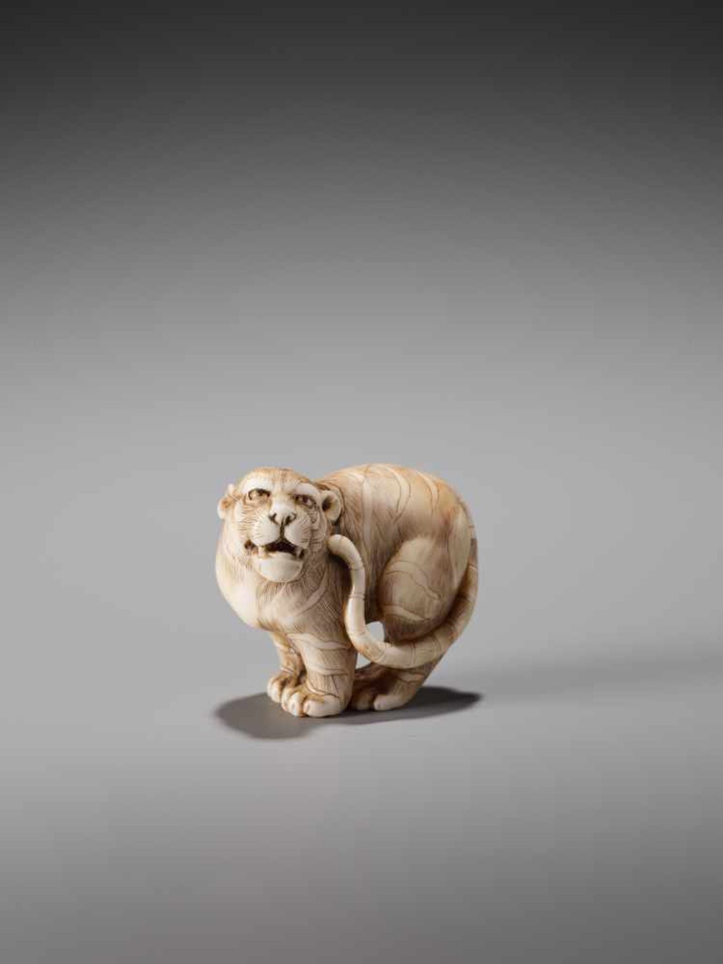 AN EXCELLENT IVORY NETSUKE OF A TIGER SIGNED OKATORIIvory netsukeJapan, Kyoto19th century, Edo