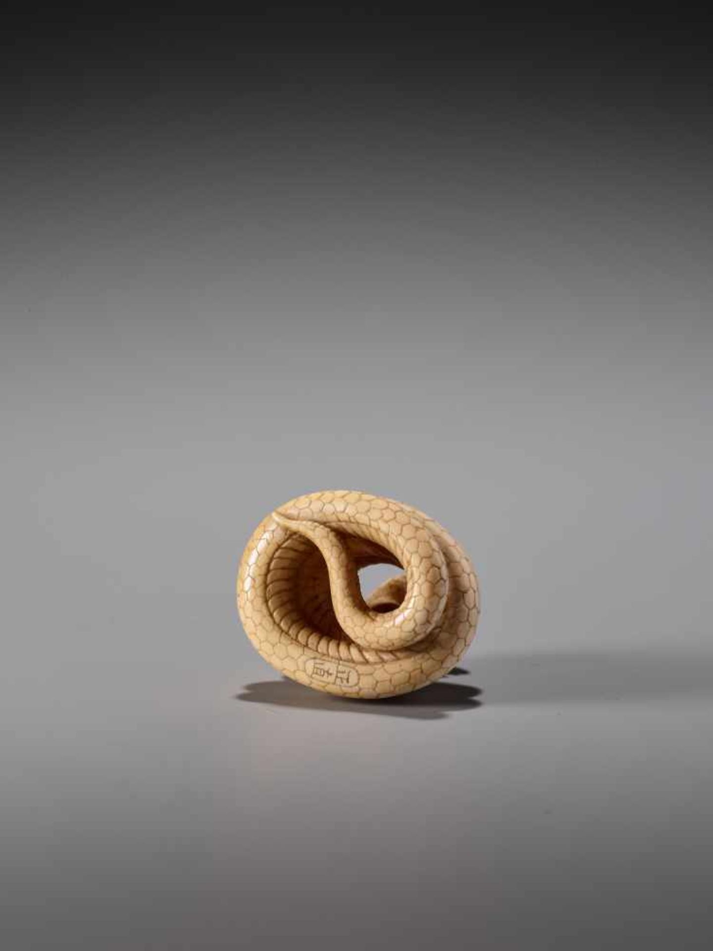 AN IVORY NETSUKE OF A COILED SNAKE SIGNED MASANAOIvory netsukeJapan19th century, Edo period (1615- - Image 7 of 10