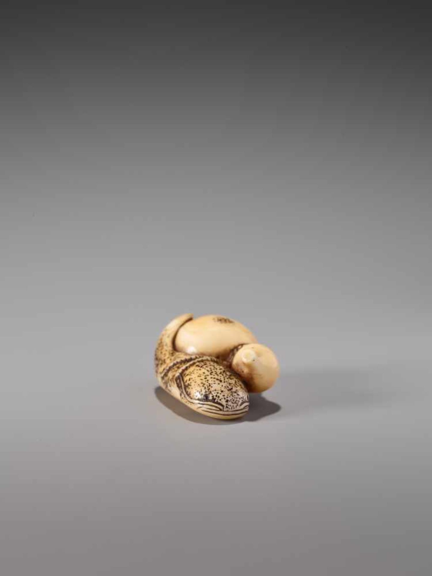 A FINE IVORY NETSUKE OF A NAMAZU TIED TO A GOURDIvory netsukeJapanearly 19th century, Edo period ( - Image 4 of 8