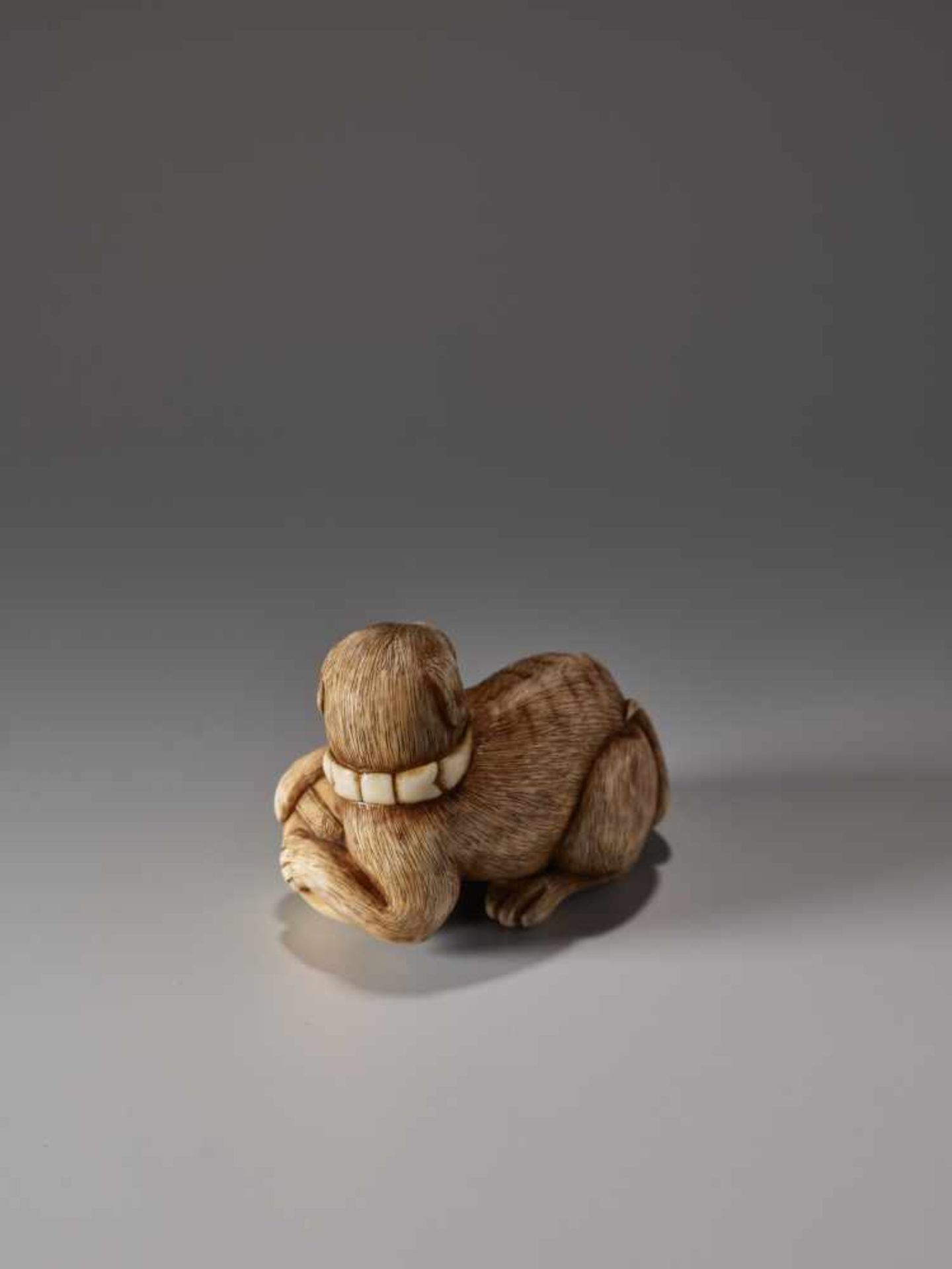 AN IVORY NETSUKE OF A DOG WITH A BALL BY IKKOIvory netsukeJapan, Nagoya19th century, Edo period ( - Image 3 of 7