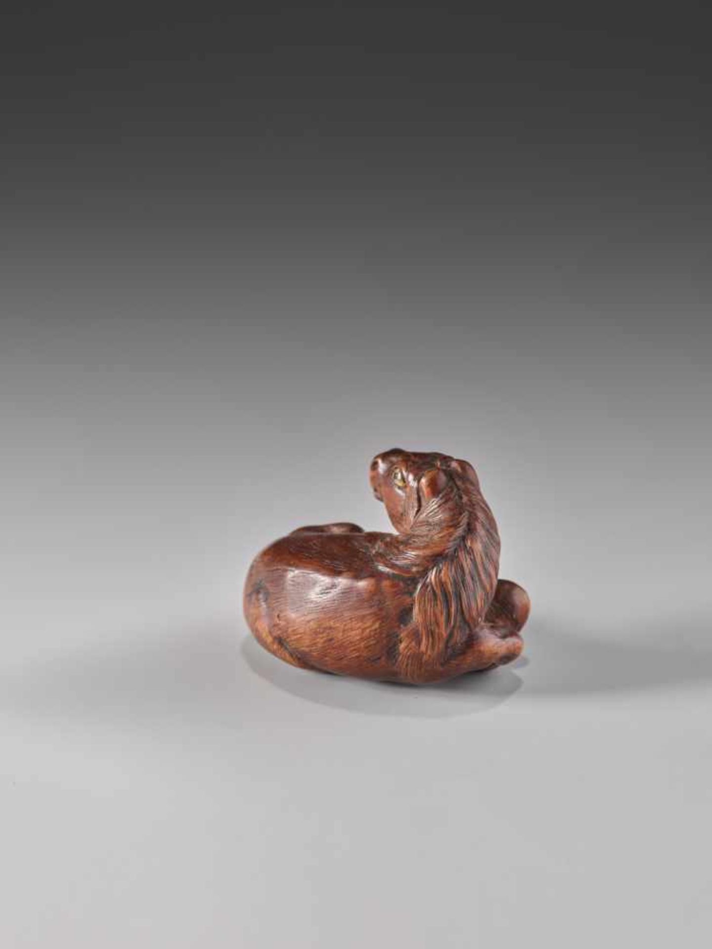 A RARE WOOD NETSUKE OF A RECUMBENT HORSE BY KOKEIWood netsukeJapan, Tsu, Kuwana, Ise Provincefirst - Image 6 of 12