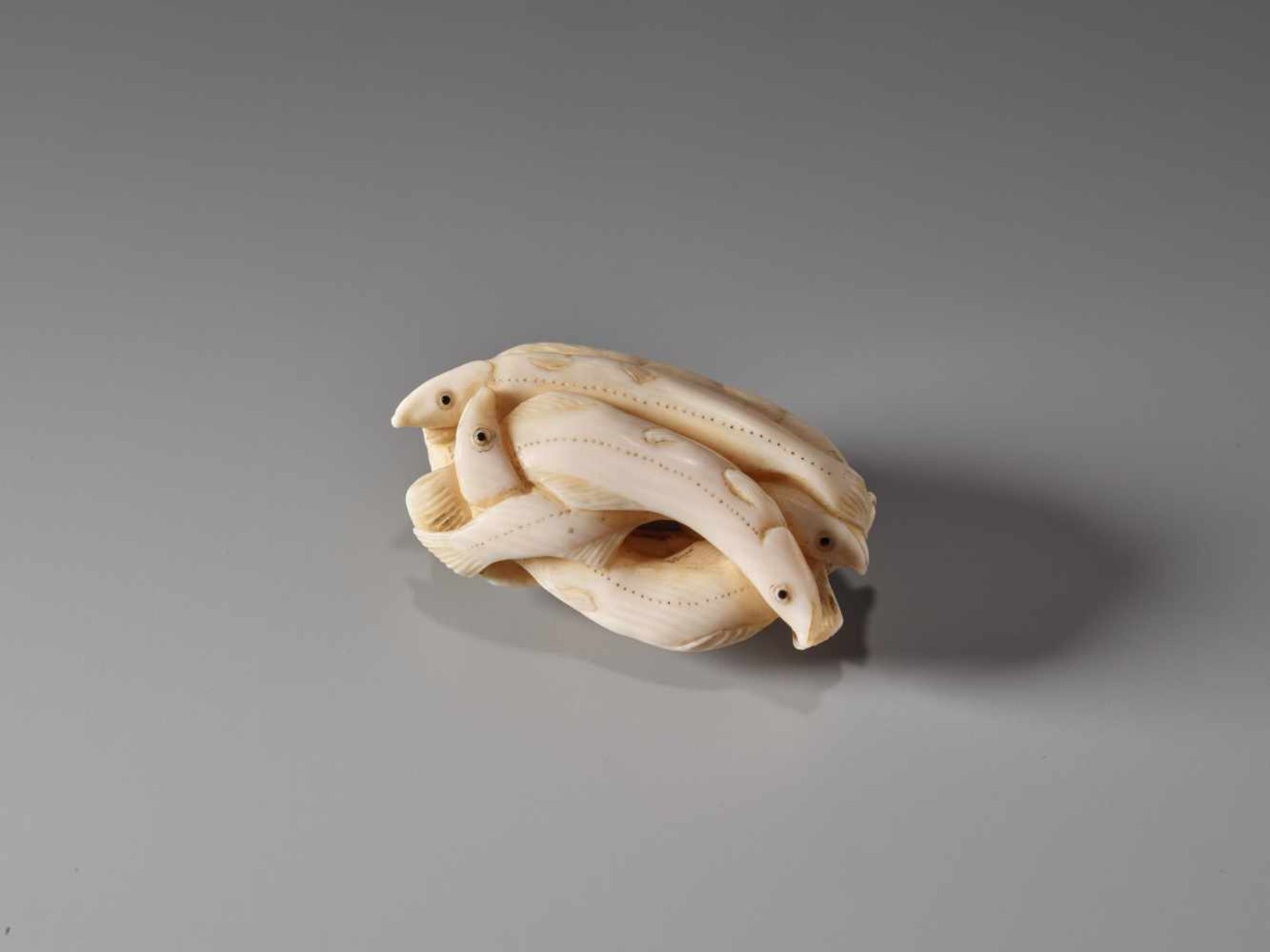 AN IVORY NETSUKE OF SEVEN WHITEBAIT BY RYOKOSAI JUGYOKUIvory netsukeJapan, Edomid-19th century, - Image 3 of 9