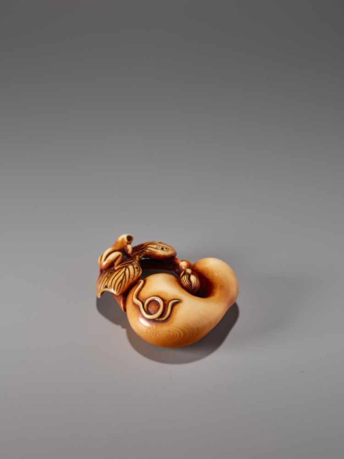 A FINE IVORY NETSUKE OF A FROG WITH GOURD BY RENSAI IIIvory netsukeJapan, Asakusalate 19th - Image 2 of 9