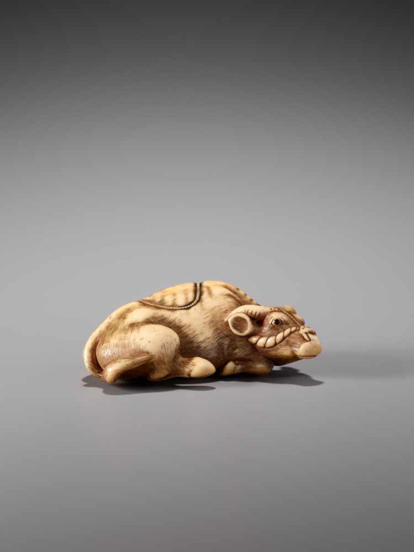 A POWERFUL IVORY NETSUKE OF A RECUMBENT OX BY TOMOTADAIvory netsukeJapan, Kyoto18th century, Edo - Image 2 of 9