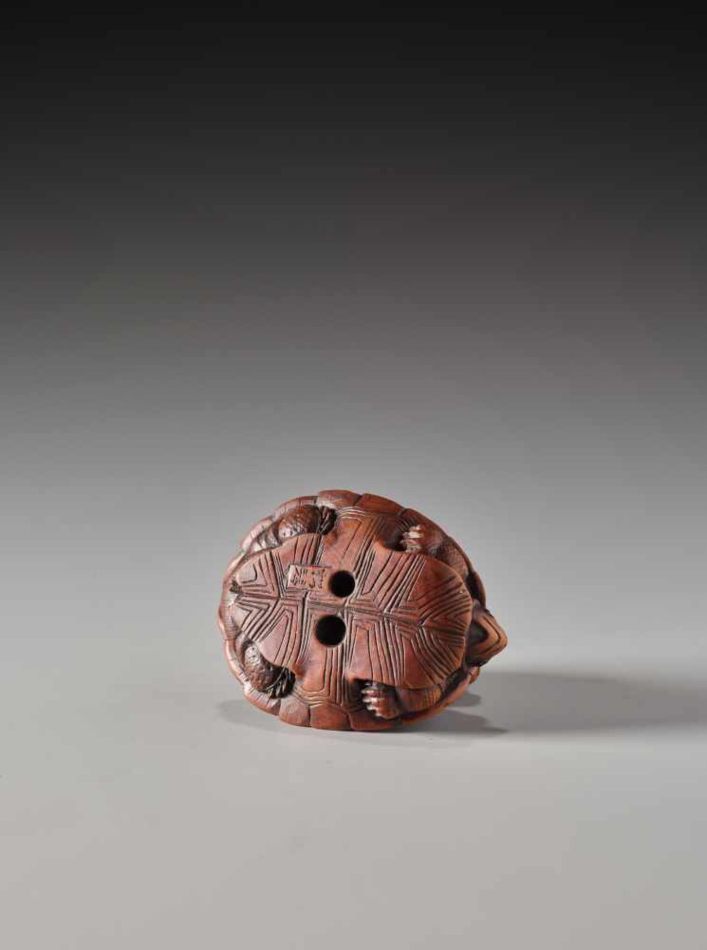 A RARE WOOD NETSUKE OF A CAT AND TORTOISE BY SHOKINWood netsukeJapan19th century, Edo period (1615- - Image 7 of 9