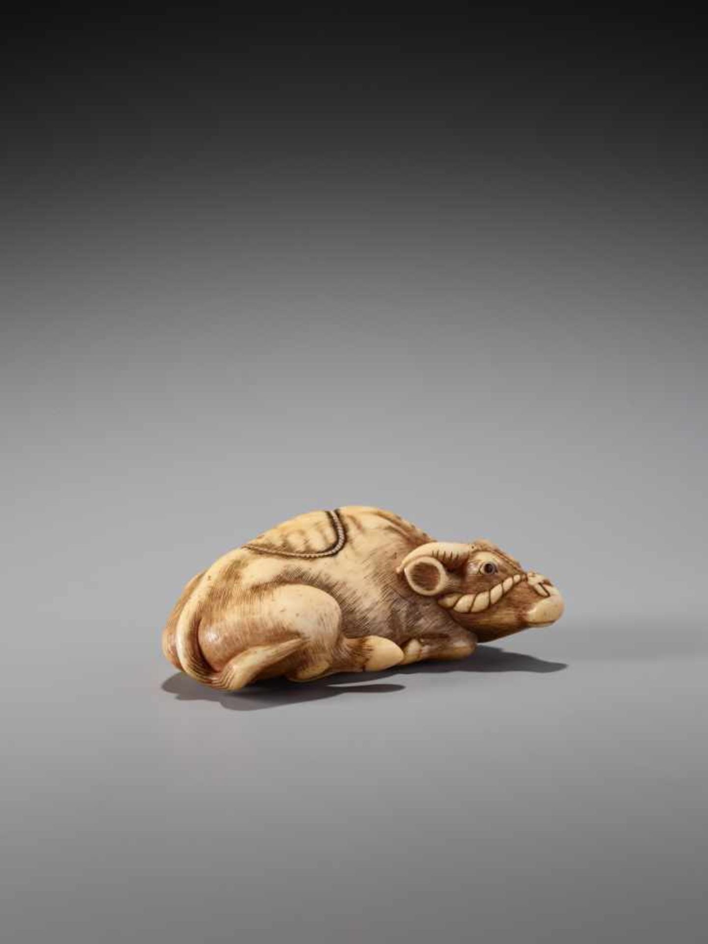 A POWERFUL IVORY NETSUKE OF A RECUMBENT OX BY TOMOTADAIvory netsukeJapan, Kyoto18th century, Edo - Image 5 of 9