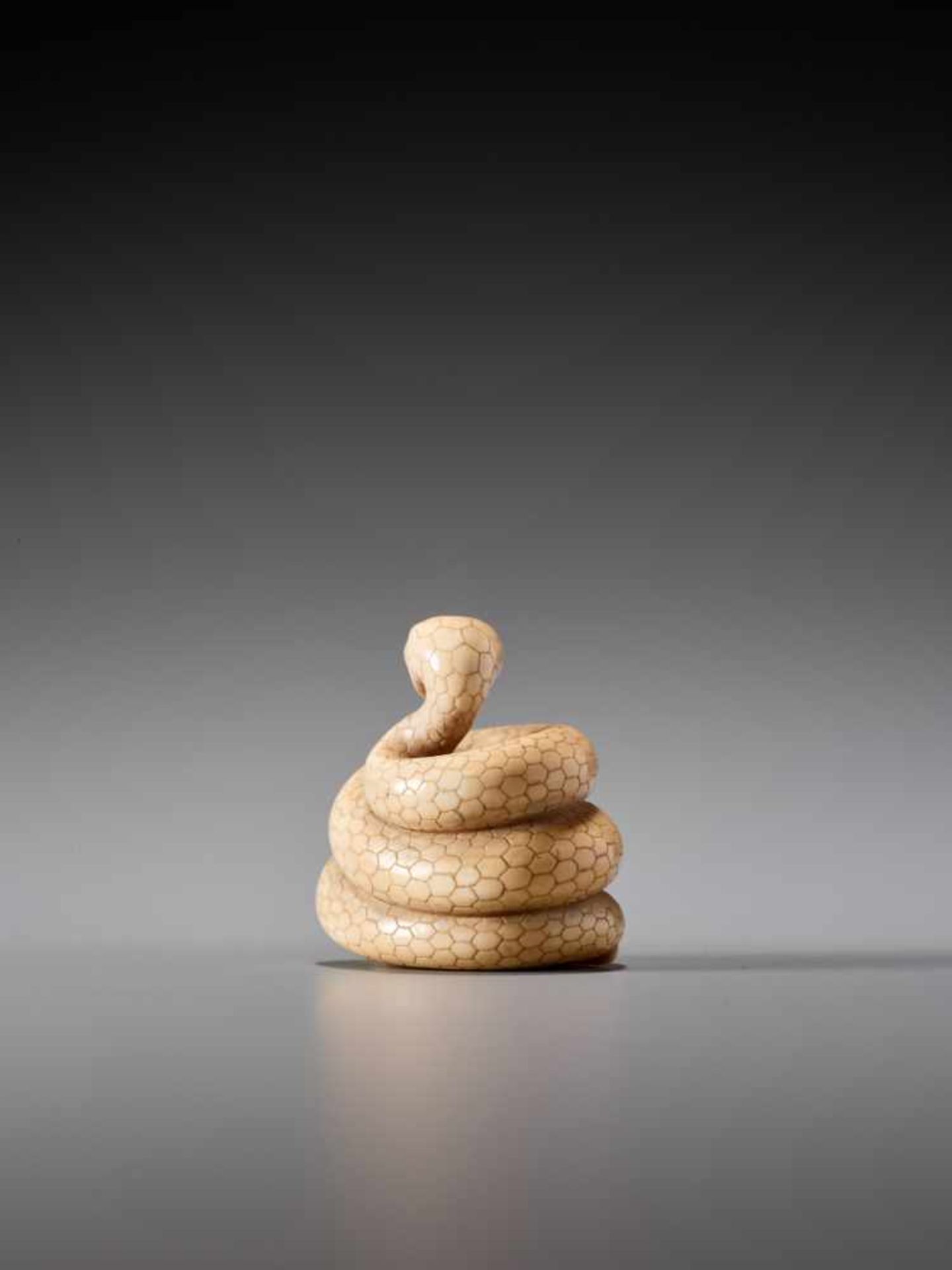 AN IVORY NETSUKE OF A COILED SNAKE SIGNED MASANAOIvory netsukeJapan19th century, Edo period (1615- - Image 2 of 10