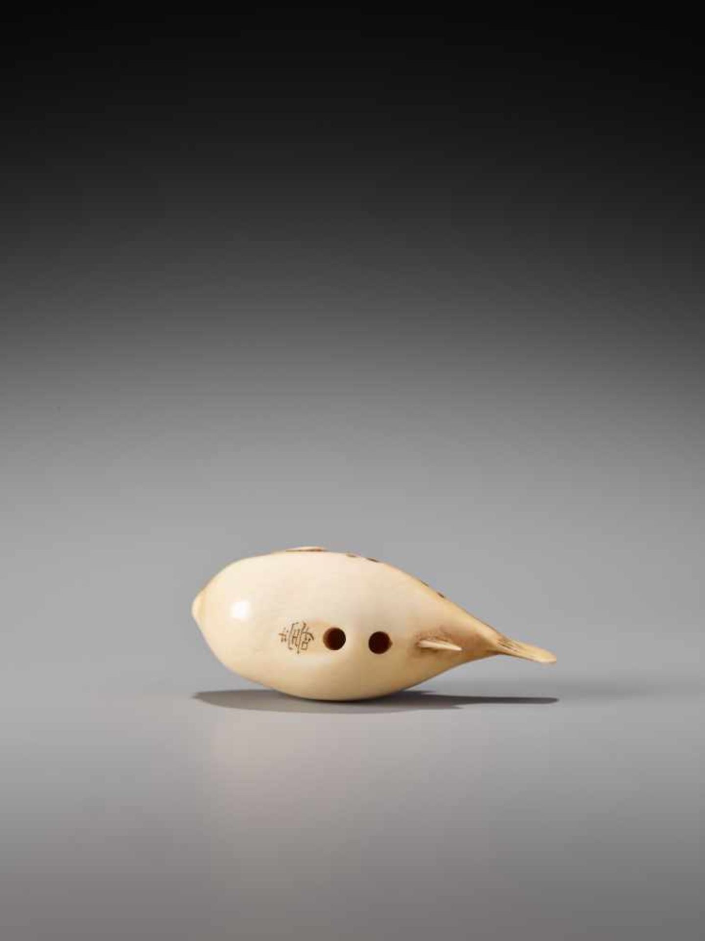 AN AMUSING IVORY NETSUKE OF A FUGU FISHIvory netsukeJapanlate 19th/20th centuryThe fugu fish, also - Image 6 of 8