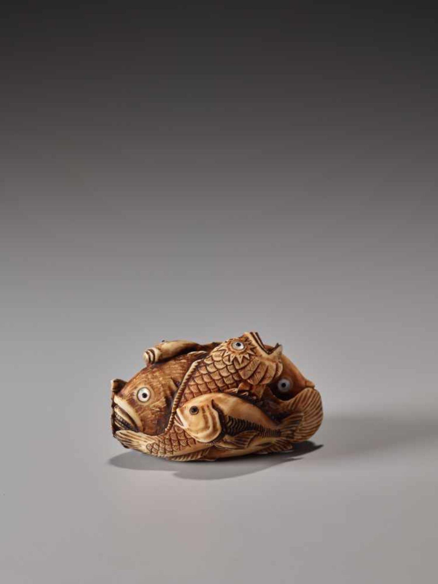 A STAINED IVORY NETSUKE OF SIX FISHESIvory netsukeJapanlate 19th century, Meiji period (1868-1912)An - Image 2 of 7